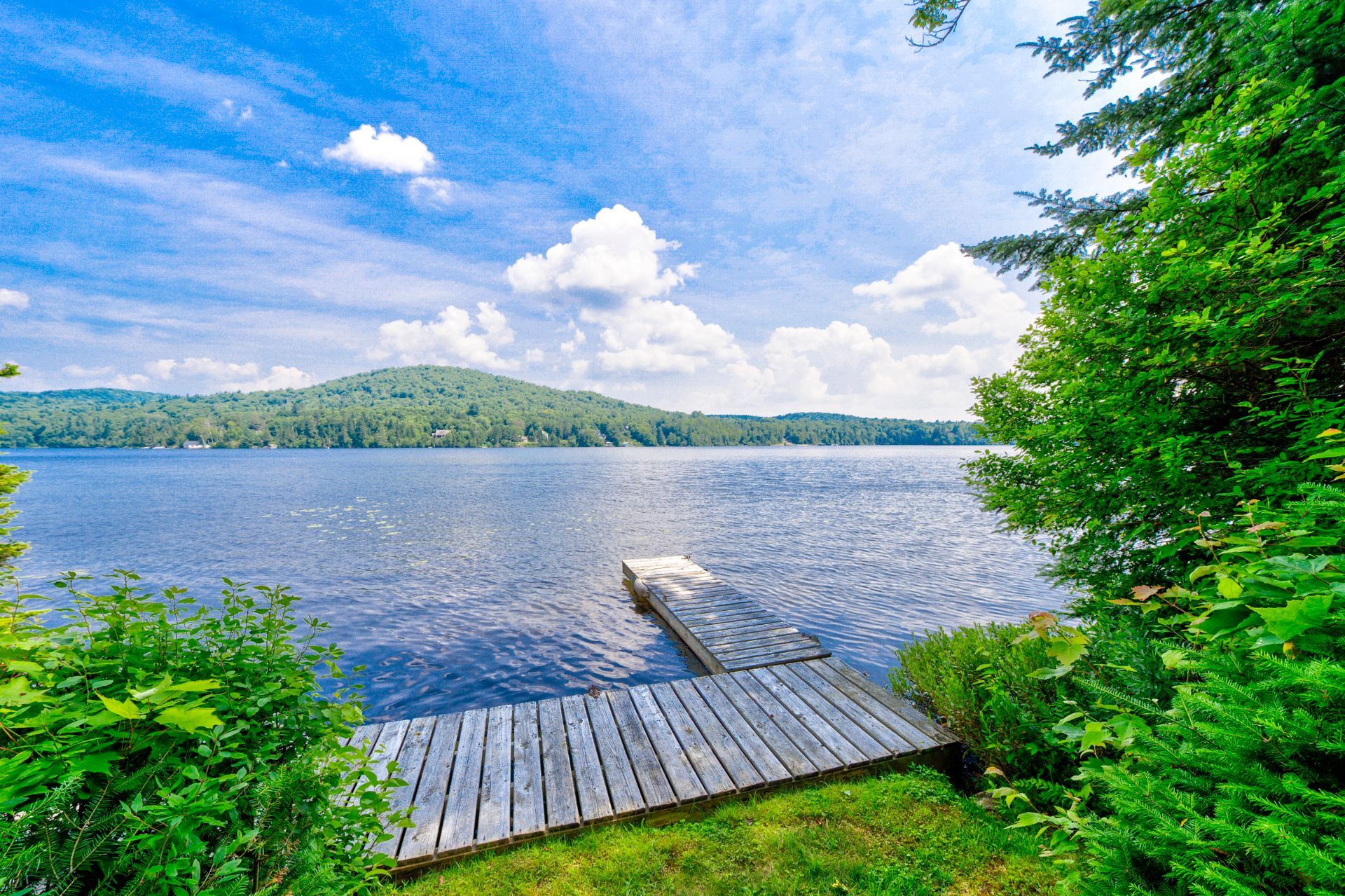 Photo - Bord de l'eau