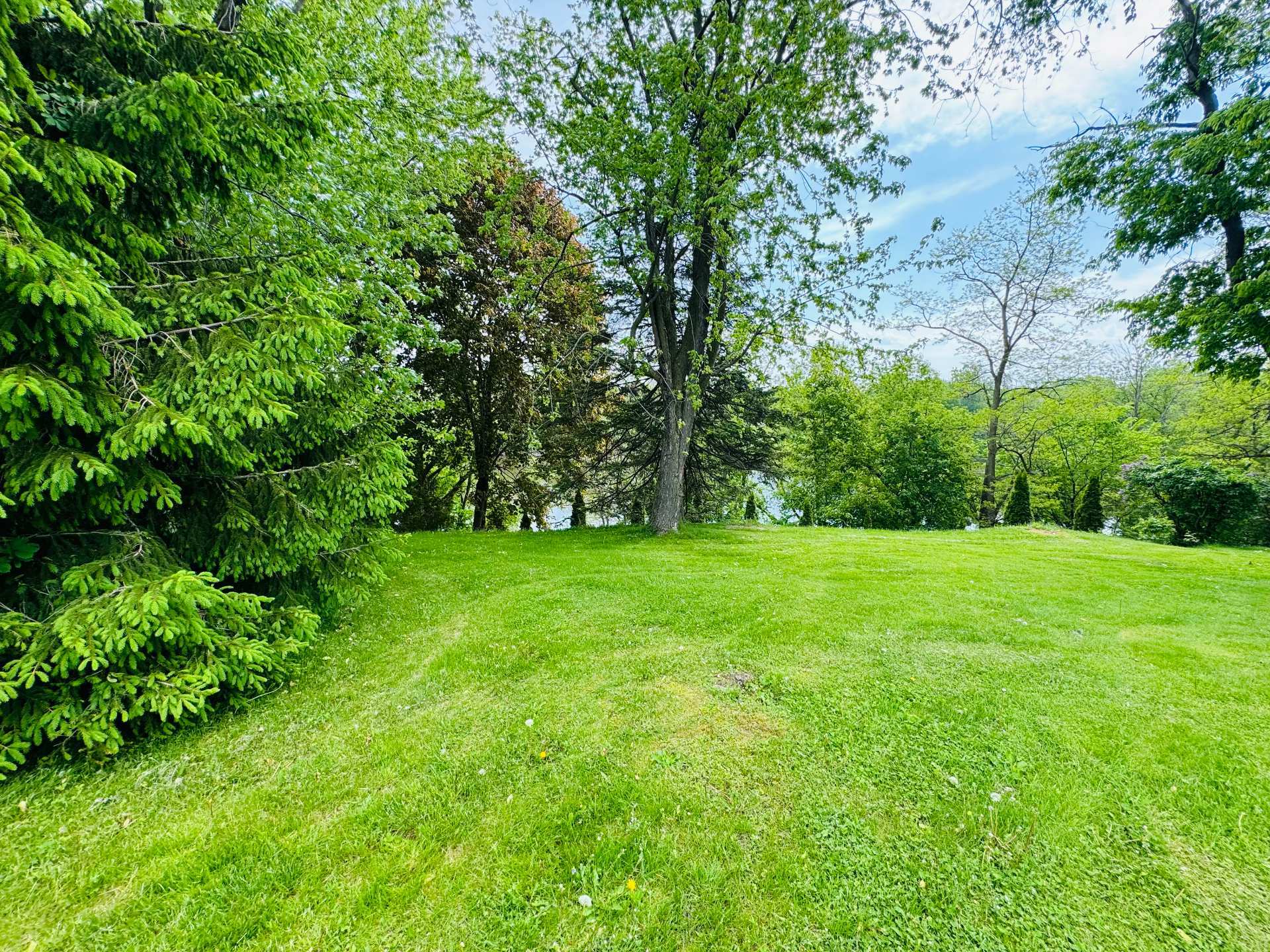 Photo - Terre/Terrain