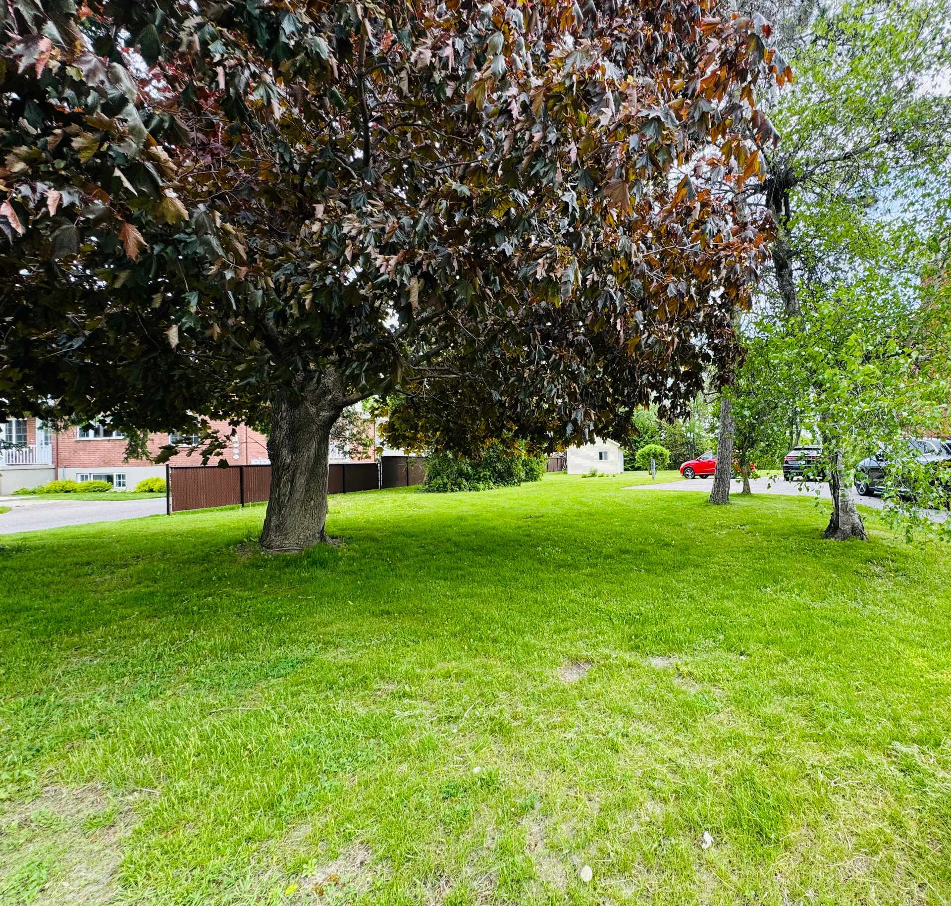 Photo - Terre/Terrain