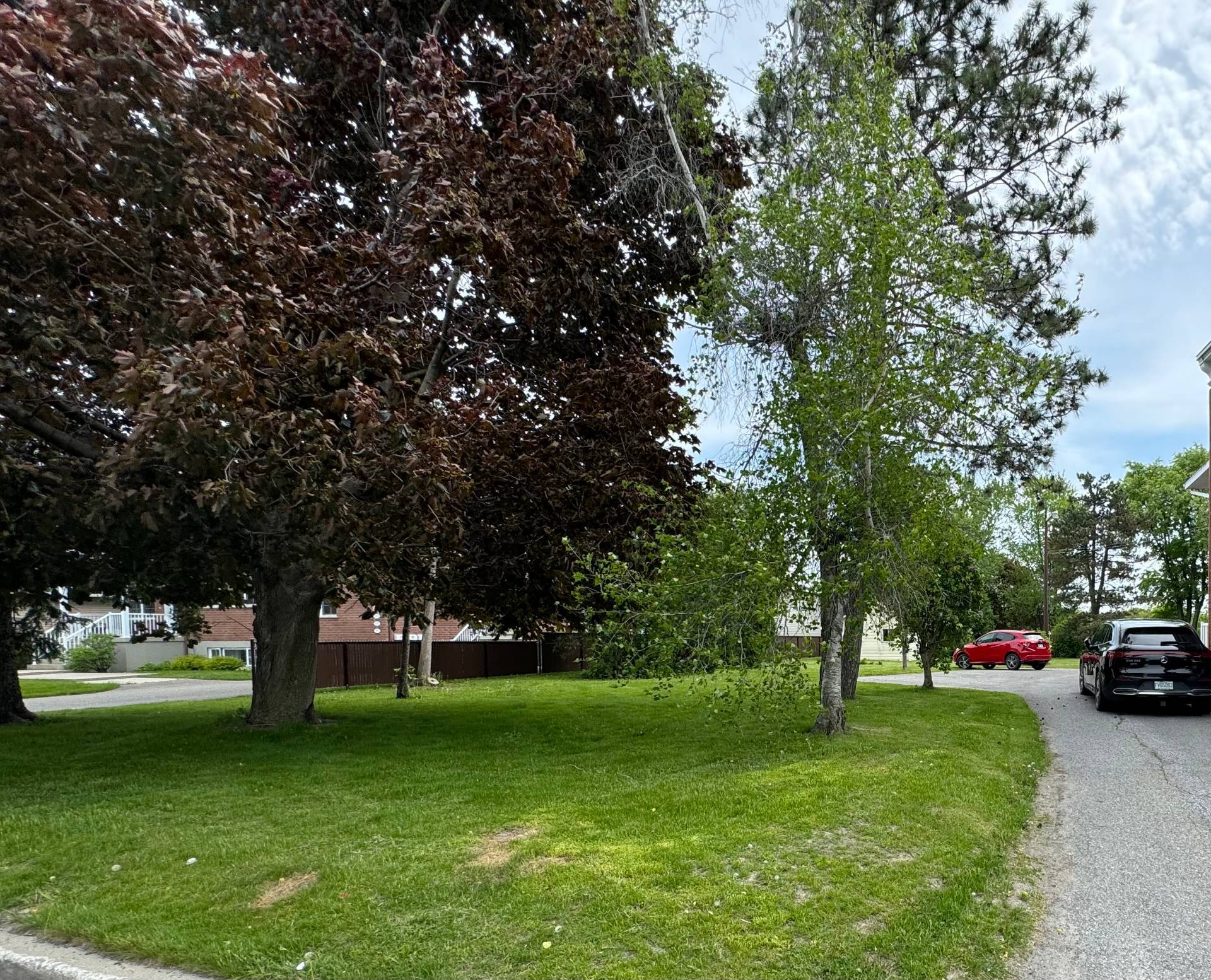 Photo - Terre/Terrain