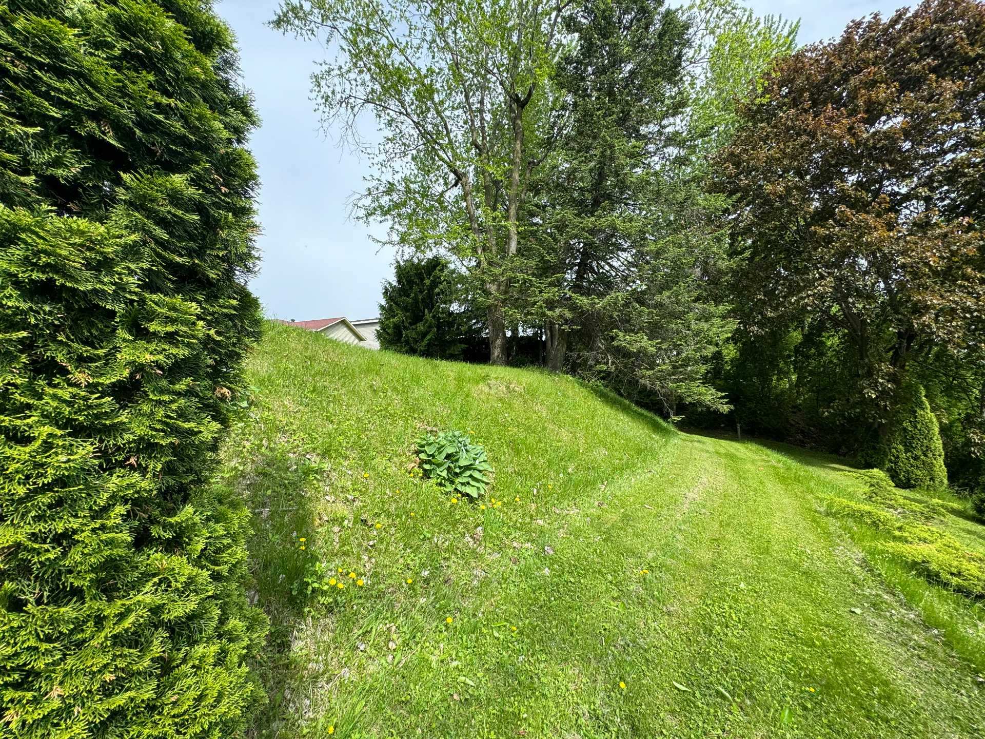 Photo - Bord de l'eau