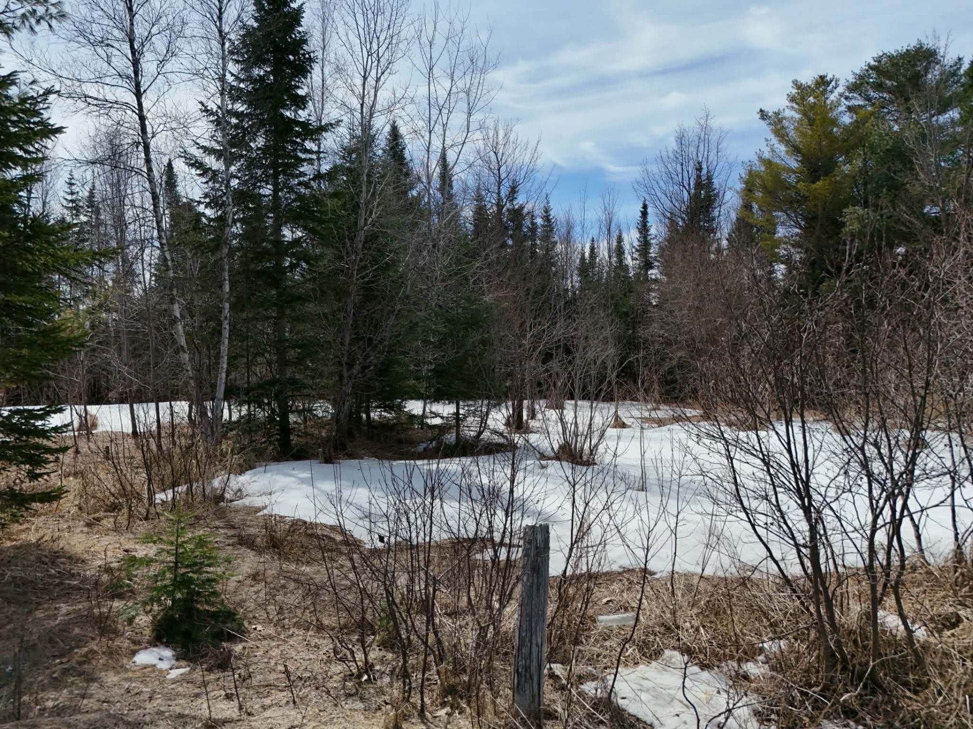 Photo - Terre/Terrain