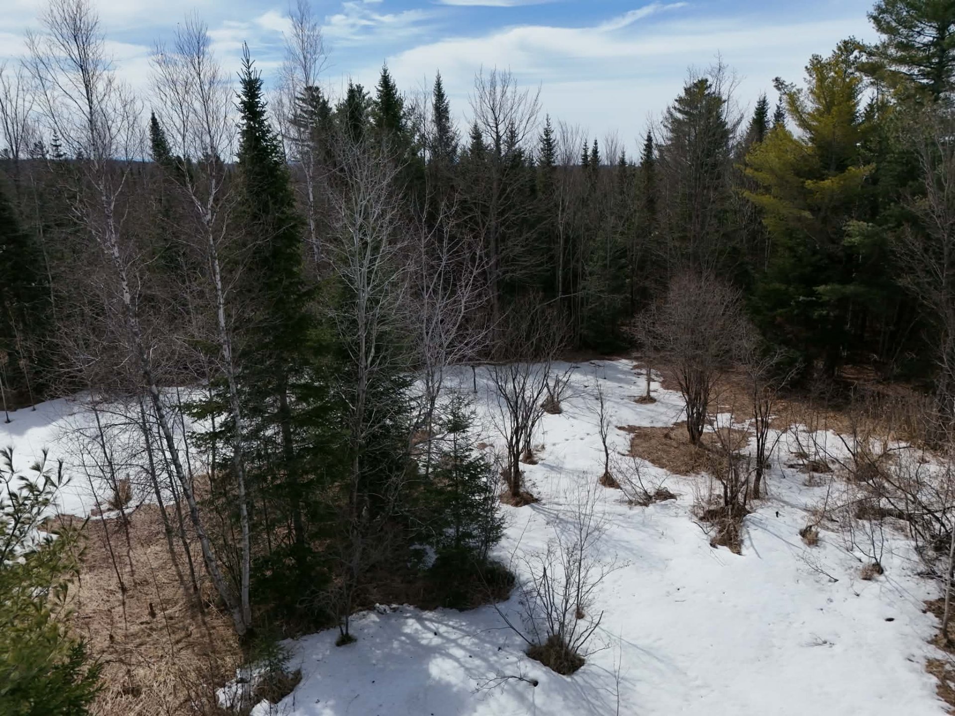 Photo - Terre/Terrain