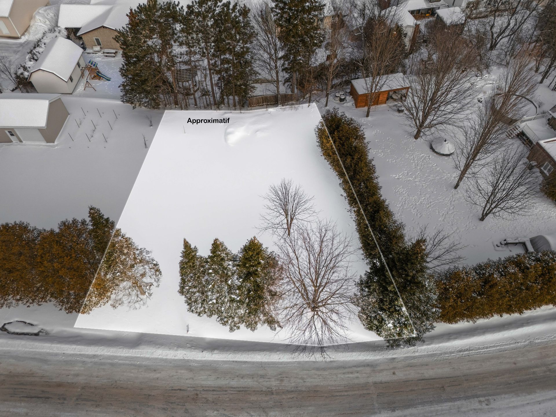 Photo - Overall View