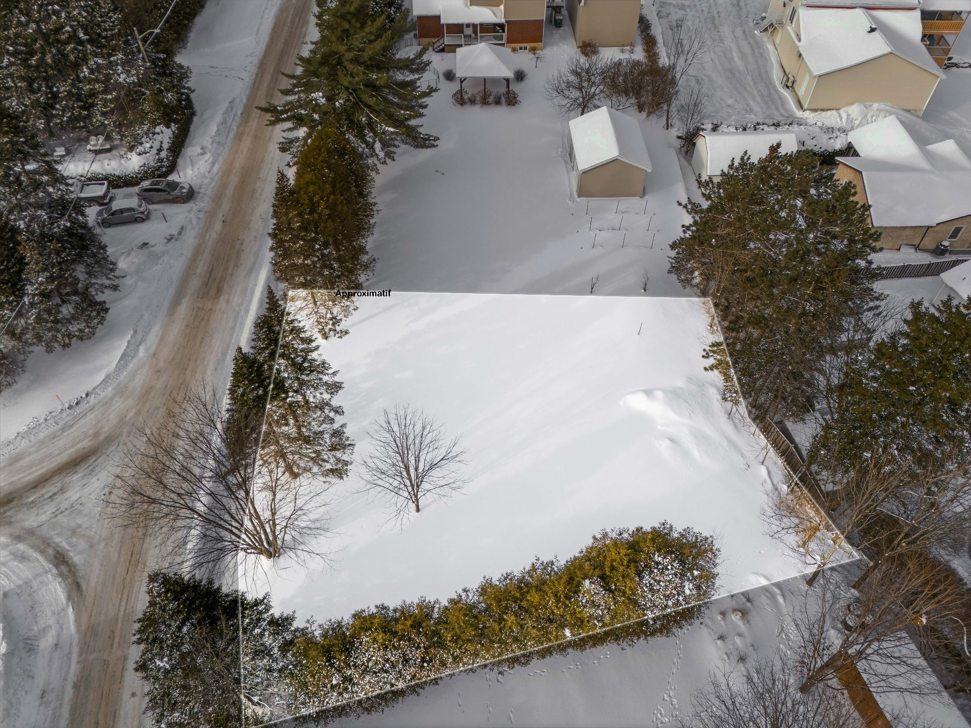 Photo - Overall View