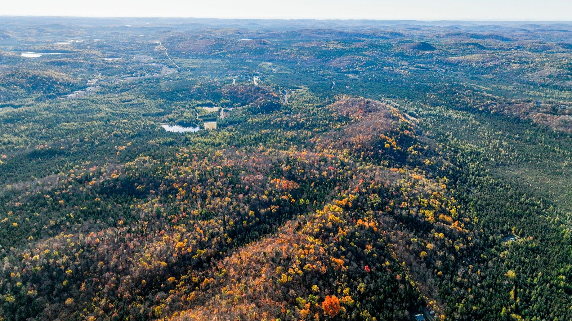 Photo - Photo aérienne