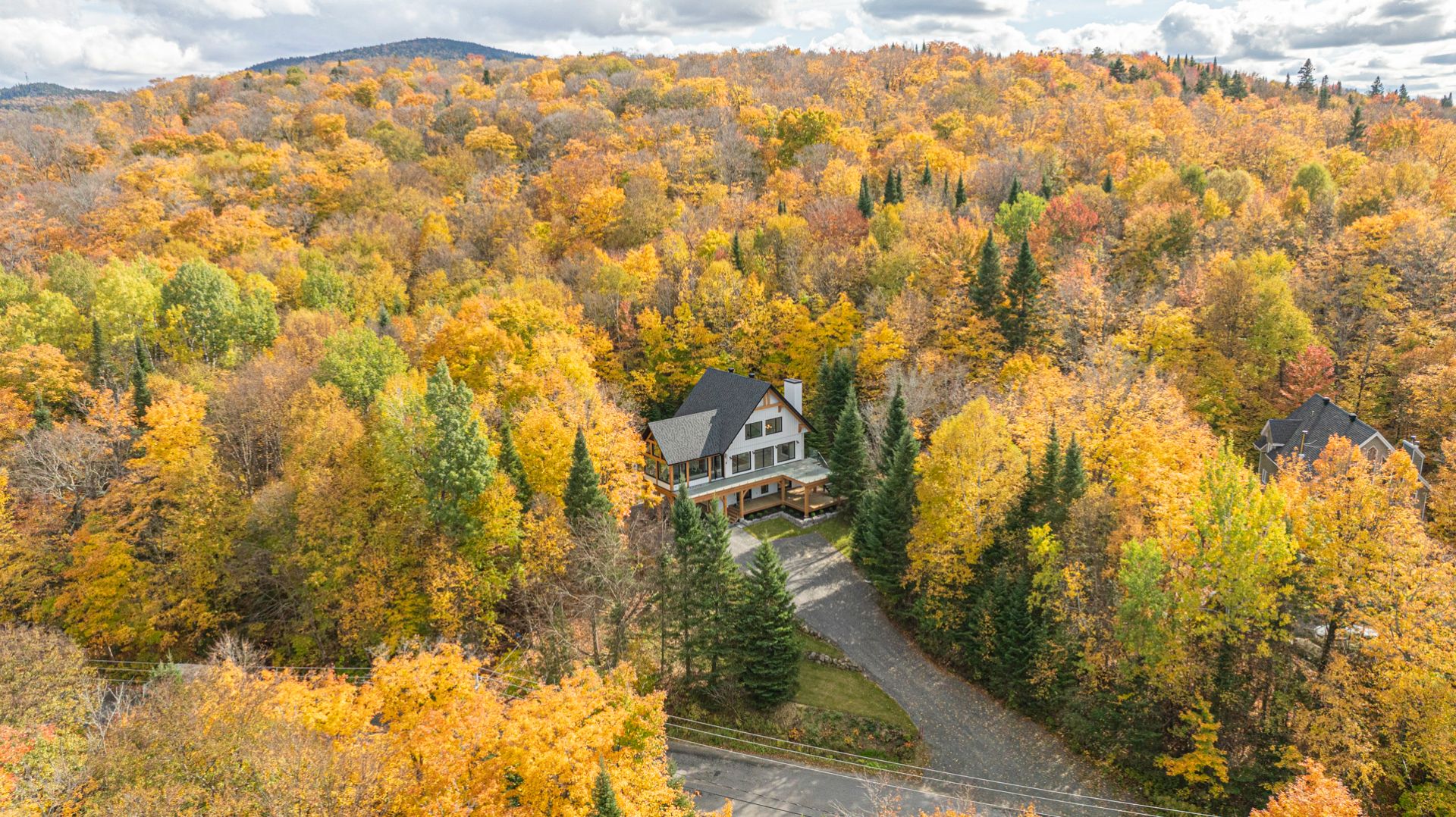 Photo - Aerial photo