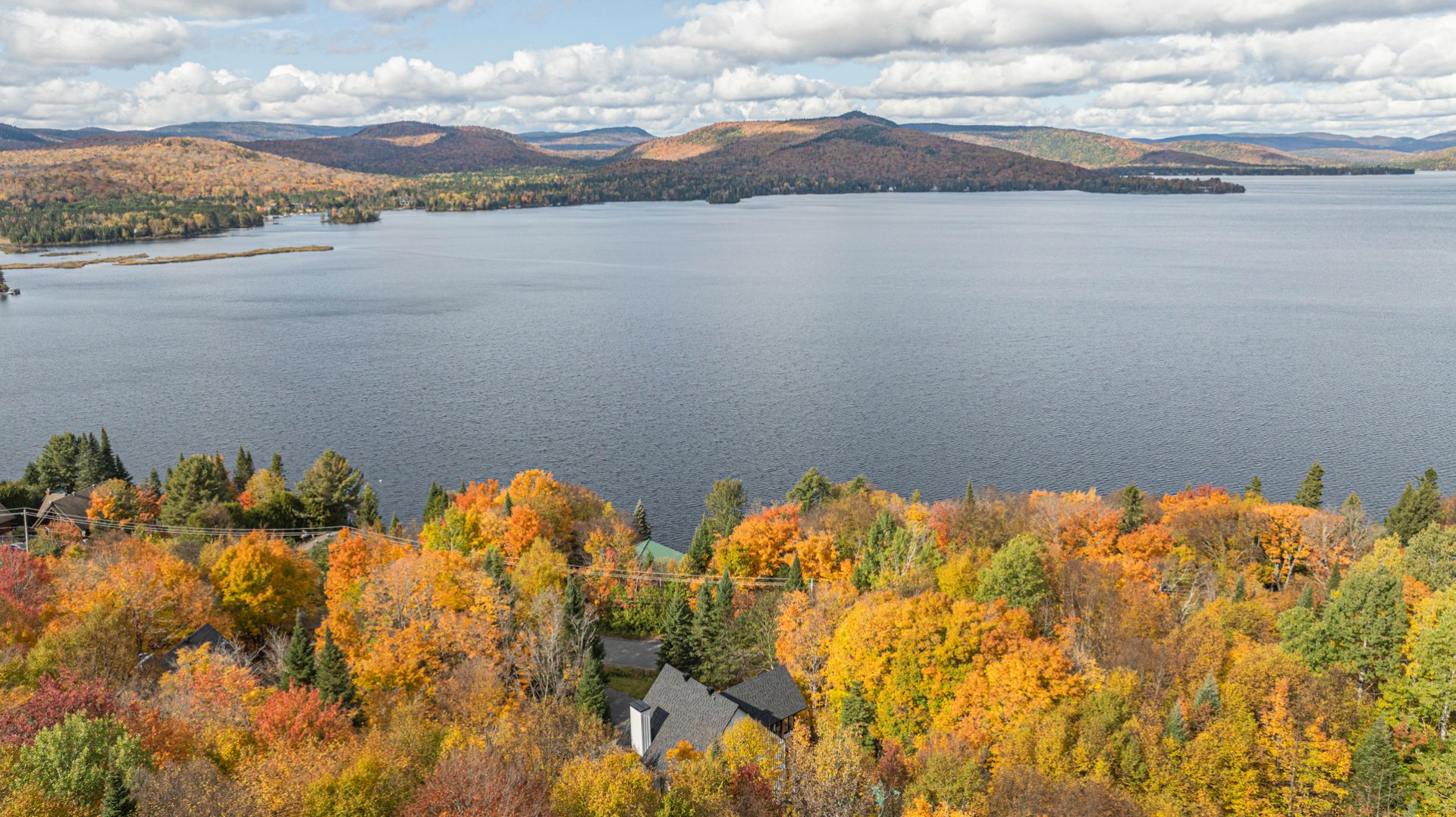 Photo - Aerial photo