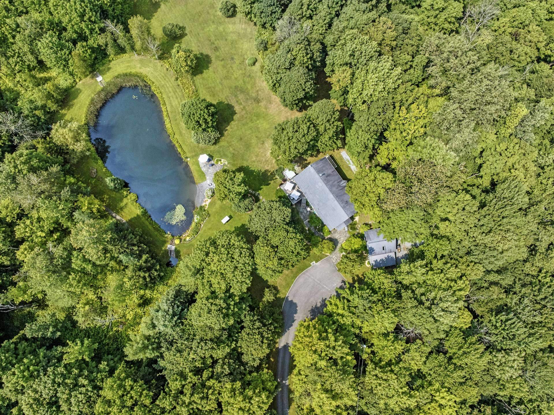 Photo - Aerial photo