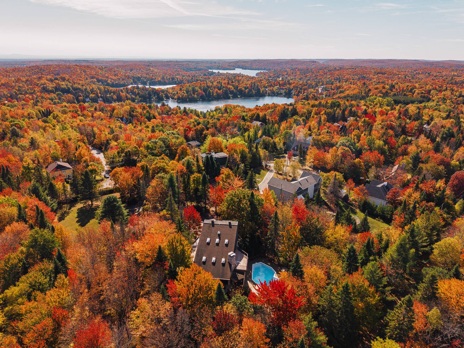 Photo - Aerial photo