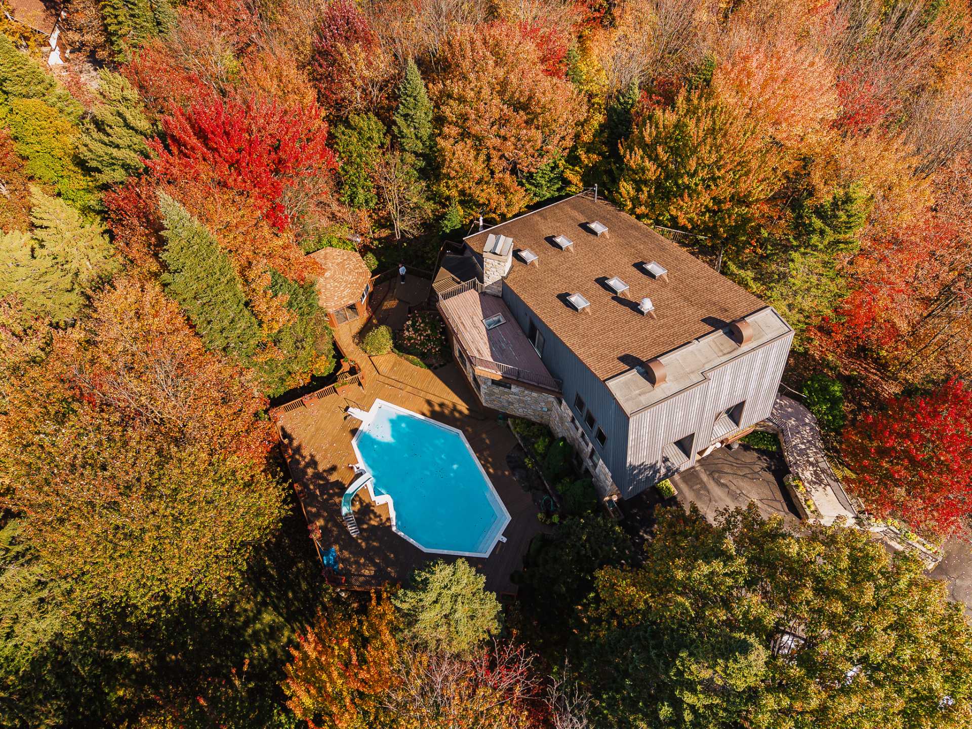 Photo - Aerial photo