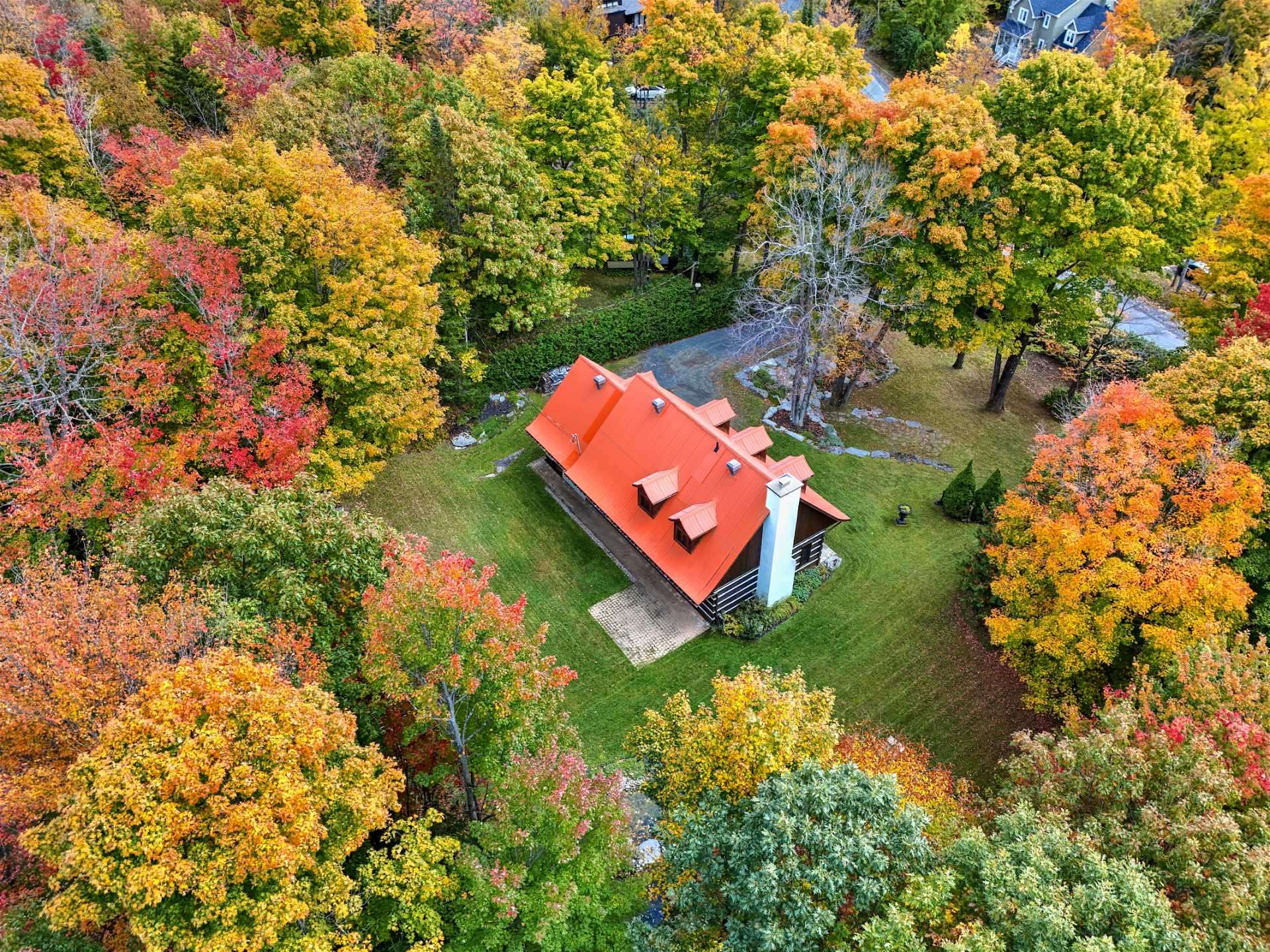 Photo - Aerial photo