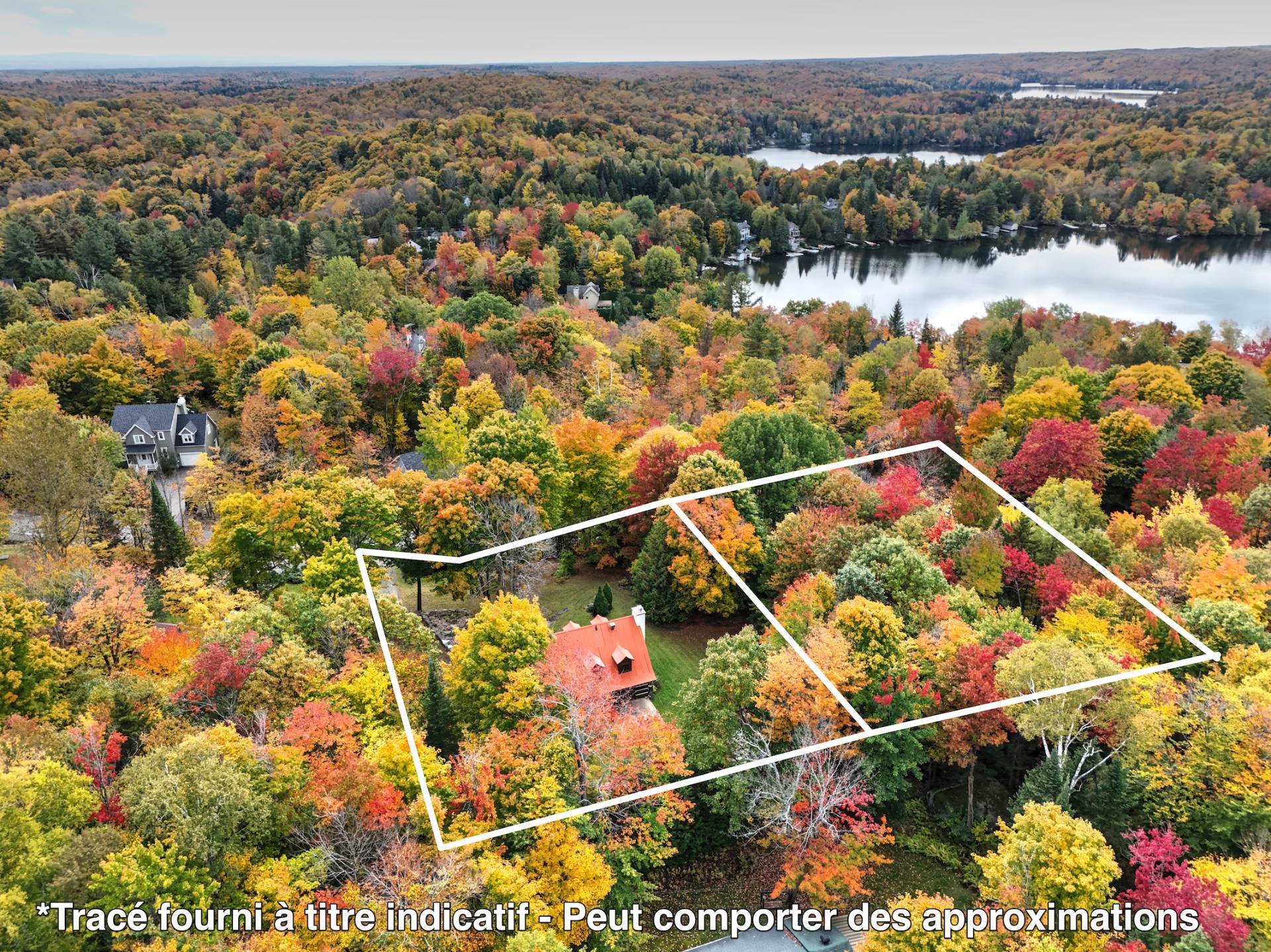 Photo - Aerial photo