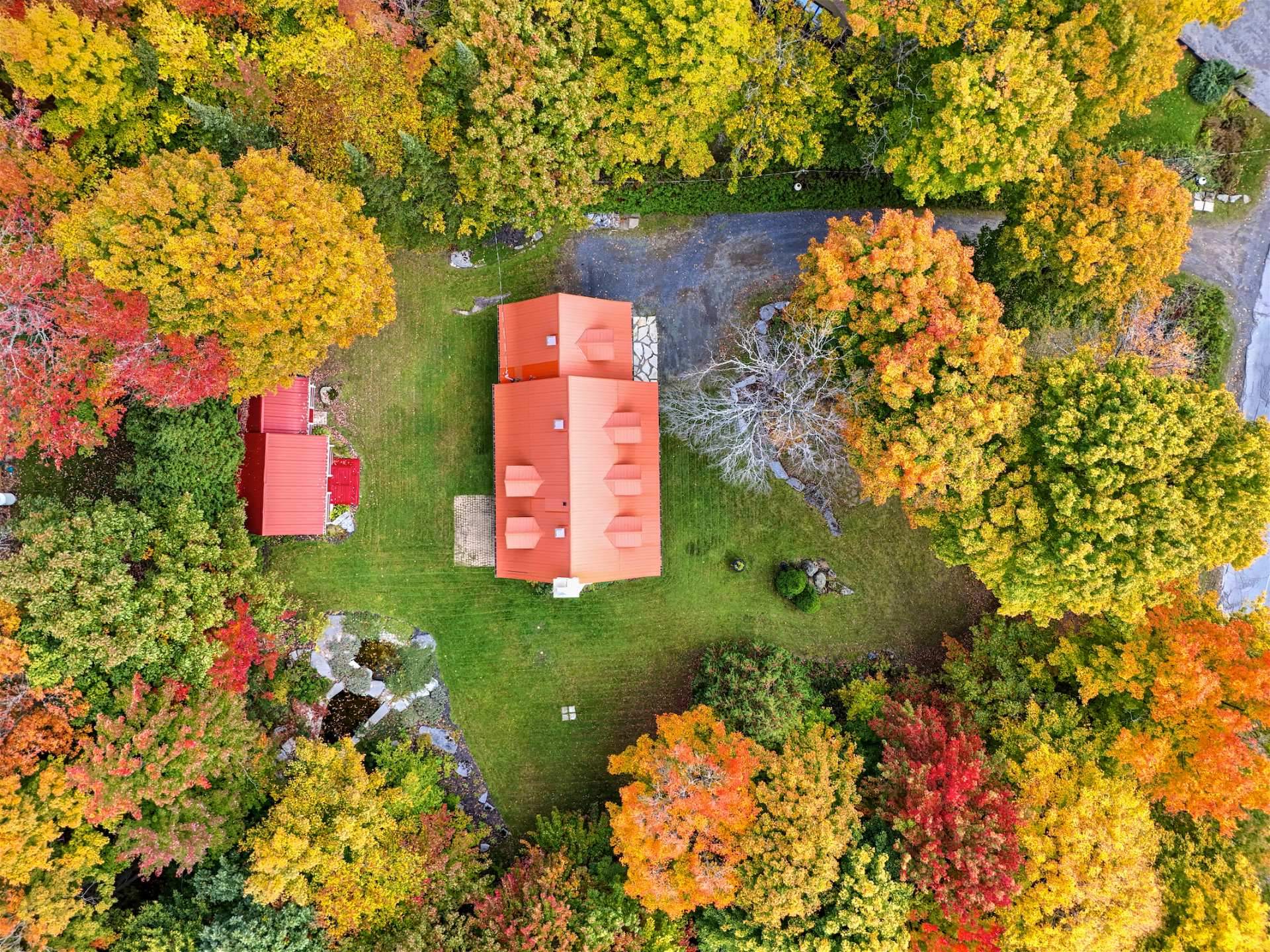 Photo - Aerial photo