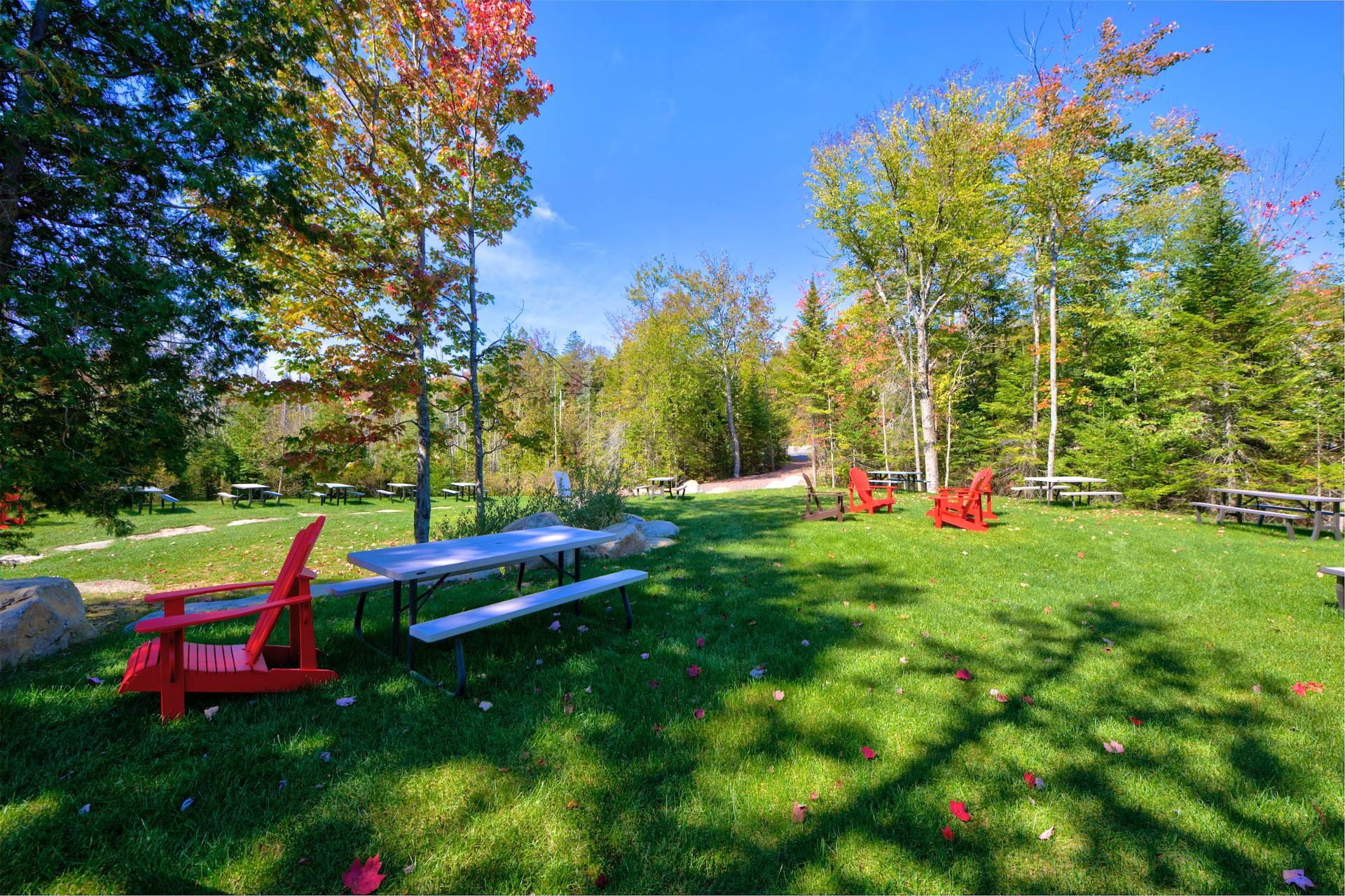 Photo - Accès au plan d'eau