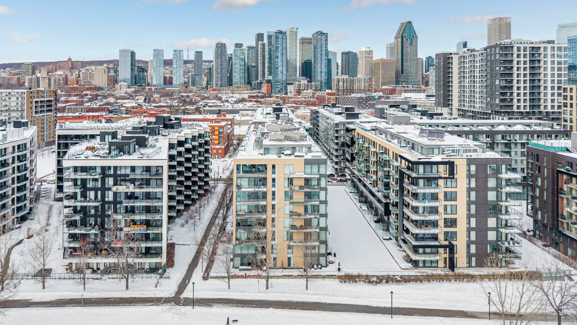 Photo - Aerial photo