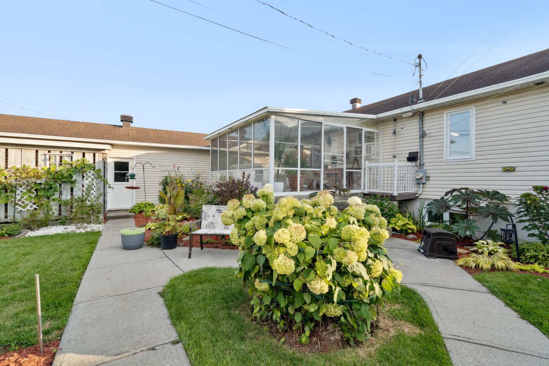 Photo - Face arrière