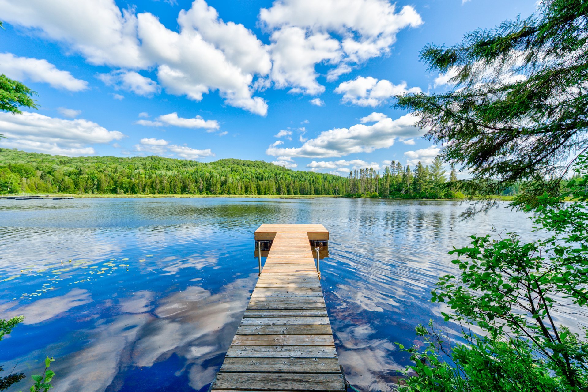 Photo - Bord de l'eau