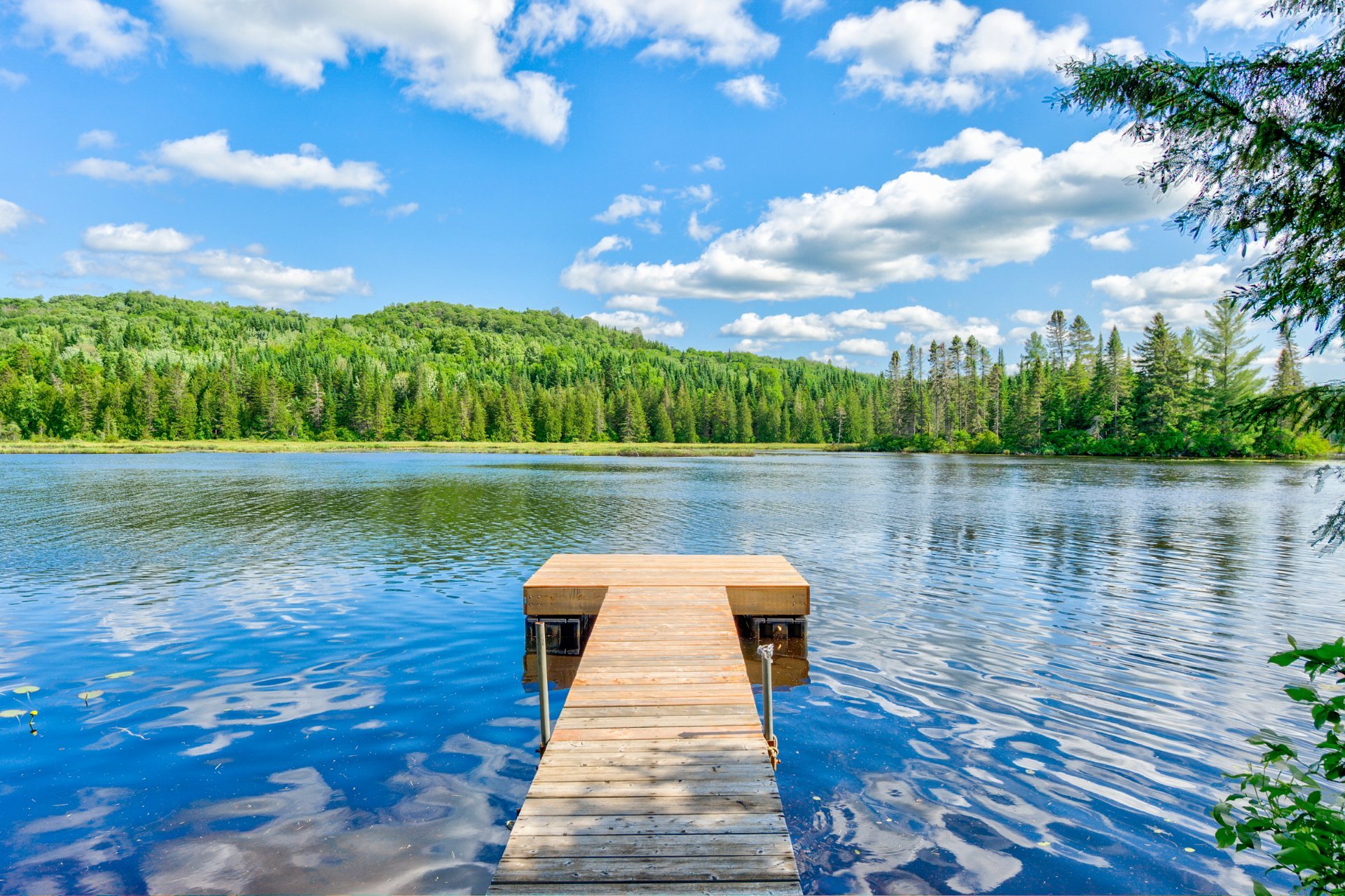 Photo - Bord de l'eau