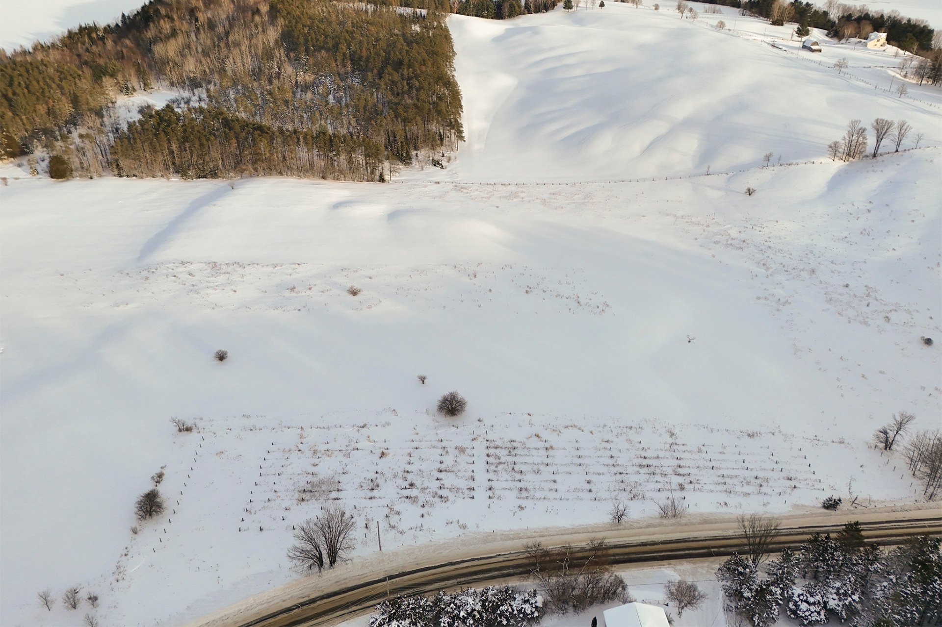 Photo - Aerial photo