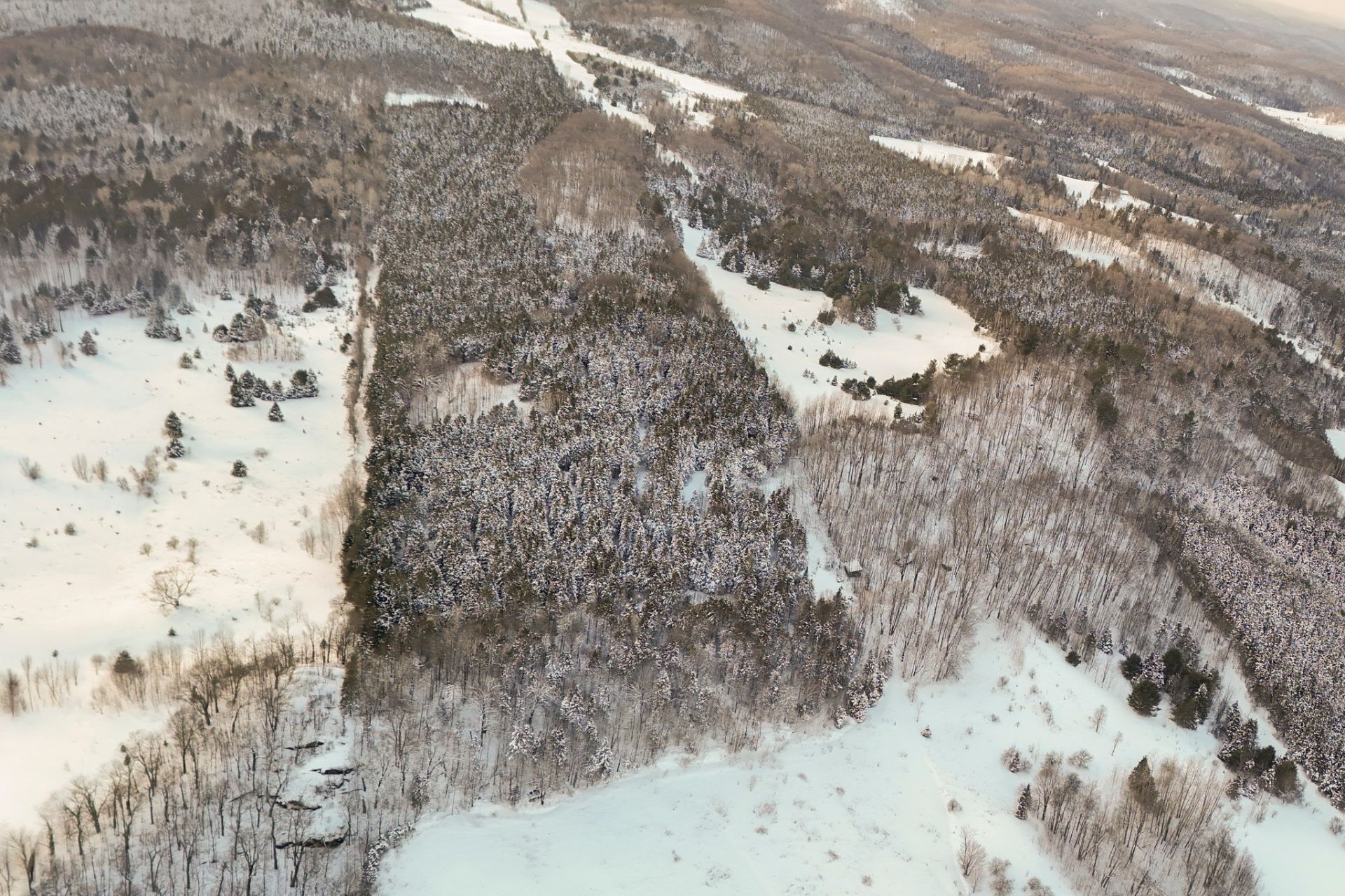 Photo - Aerial photo