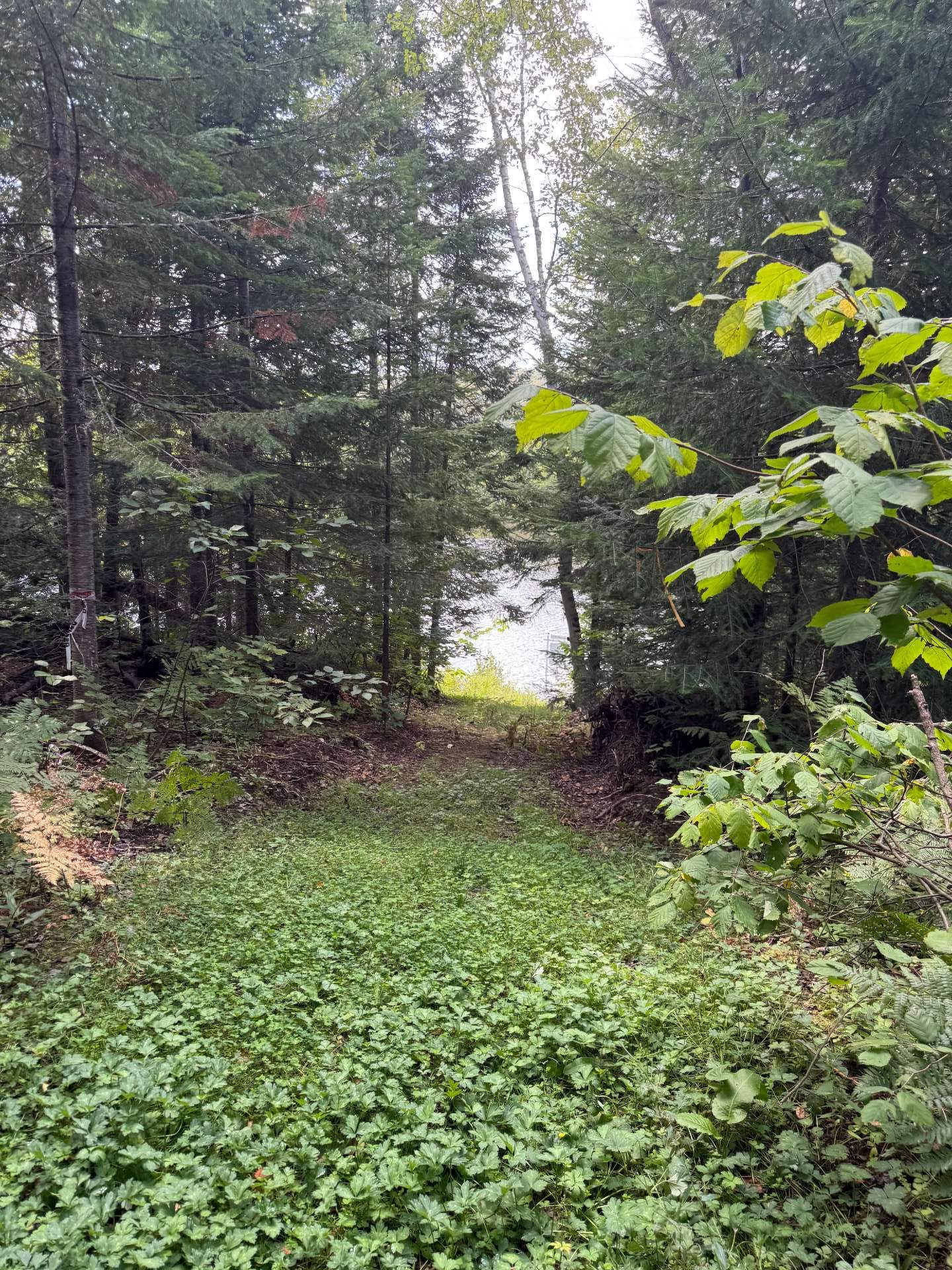 Accès au plan d'eau