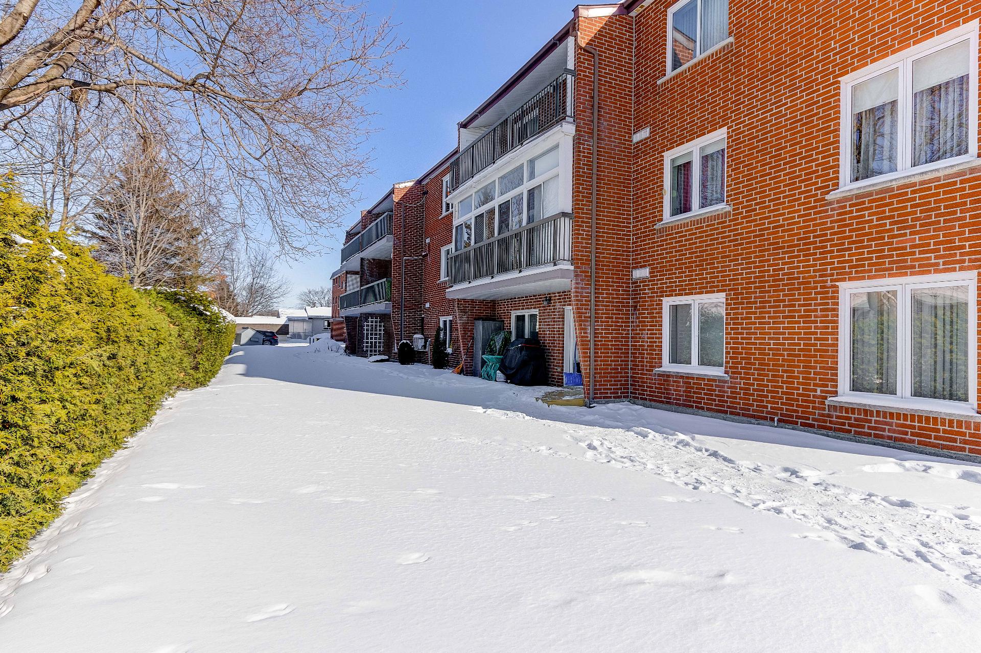 Photo - Face arrière