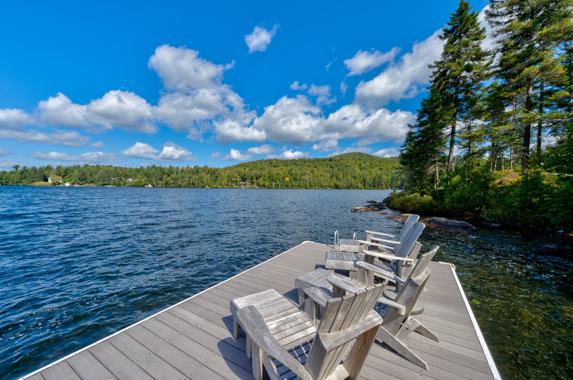 Photo - Bord de l'eau