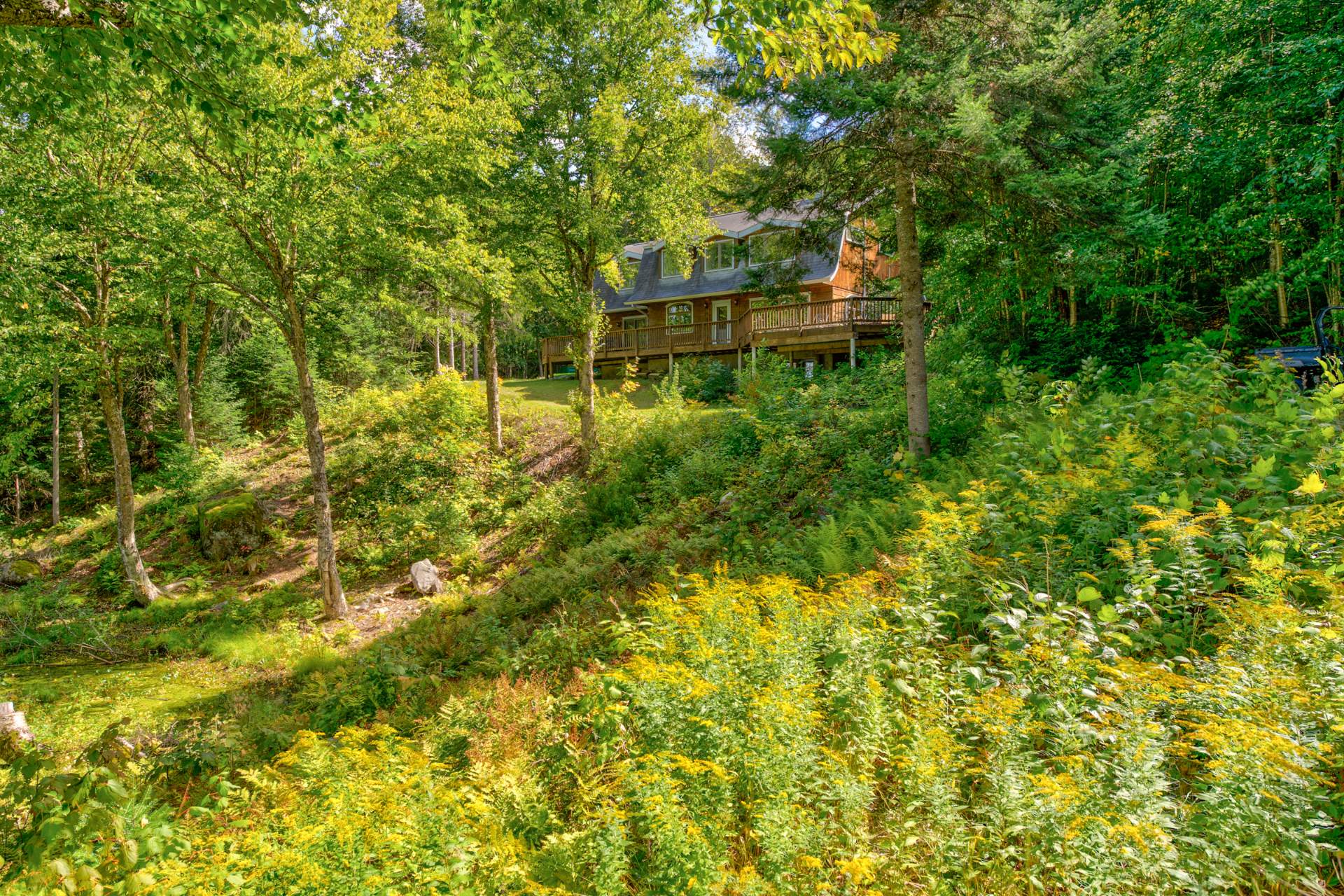 Photo - Face arrière