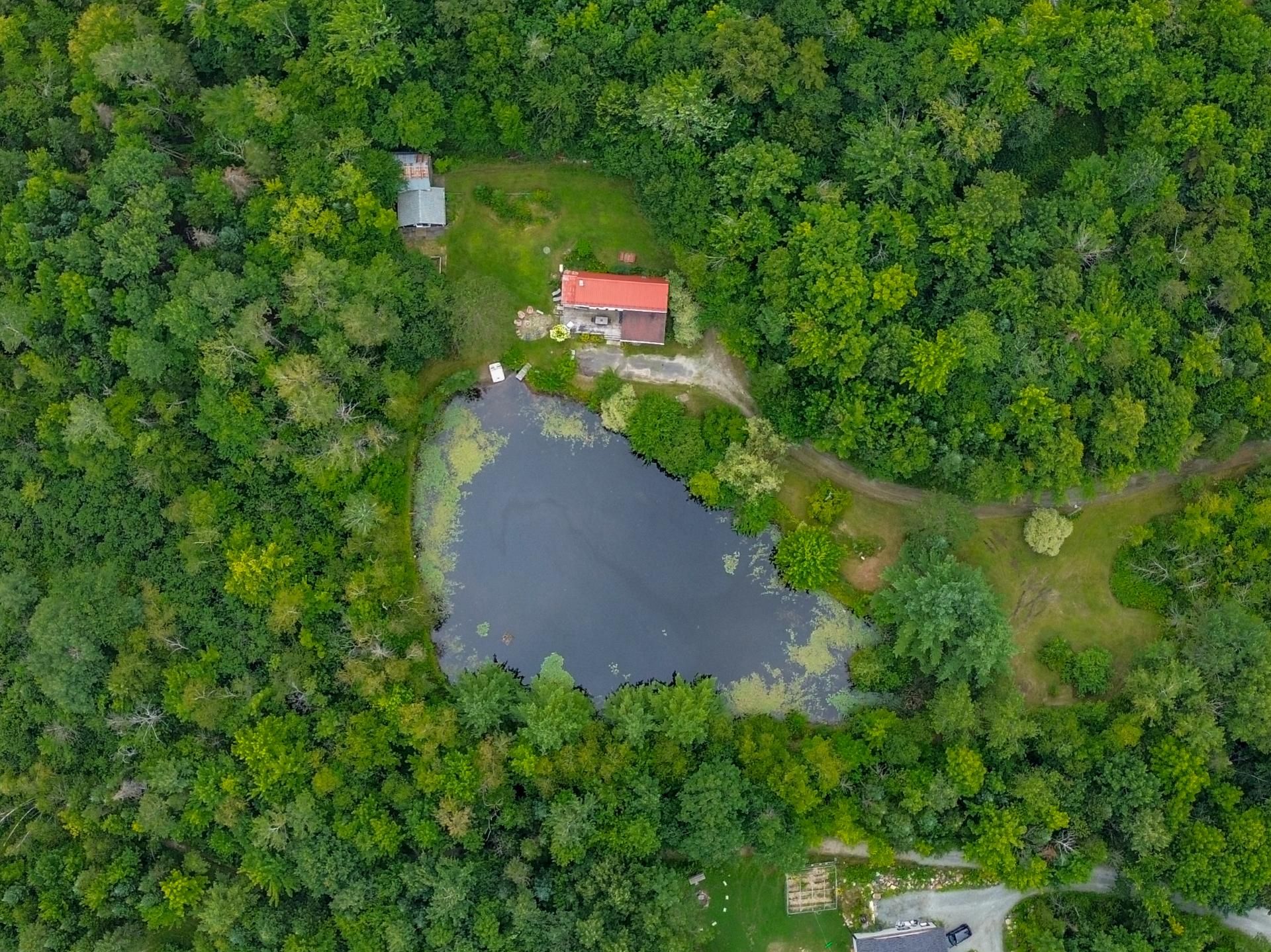 Photo - Aerial photo