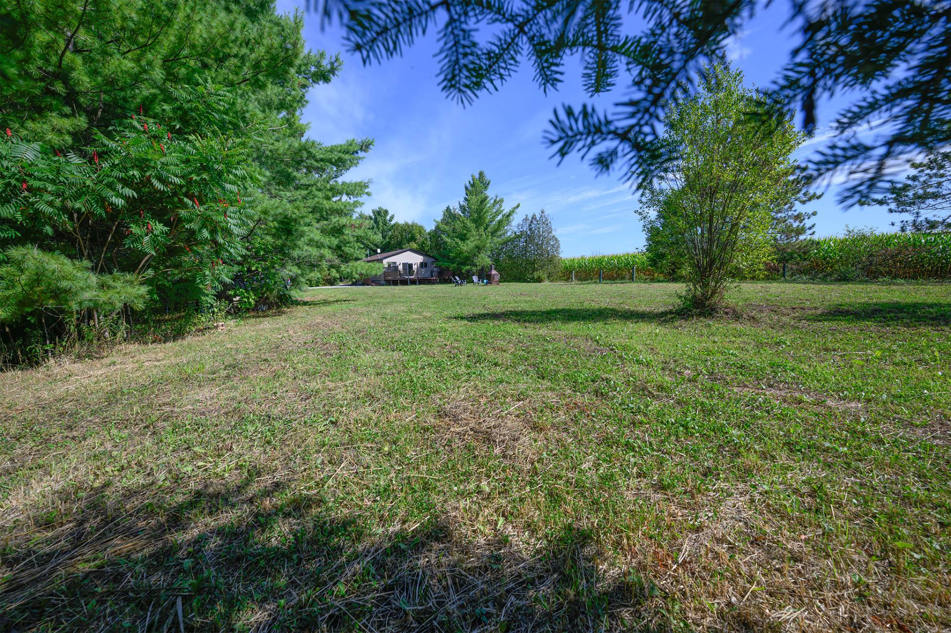 Photo - Vue d'ensemble