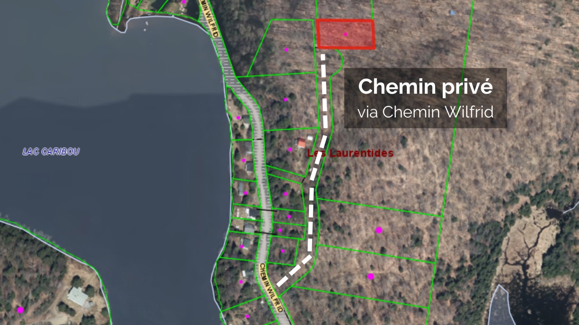 Photo - Aerial photo