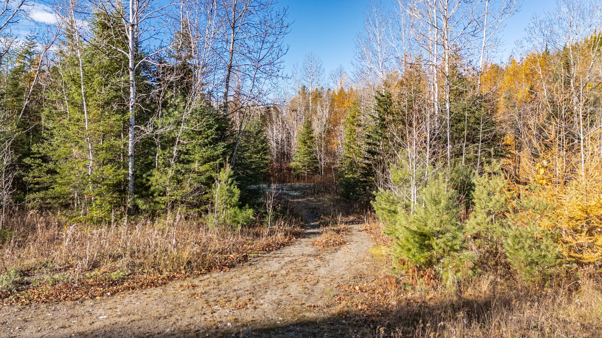 Photo - Terre/Terrain