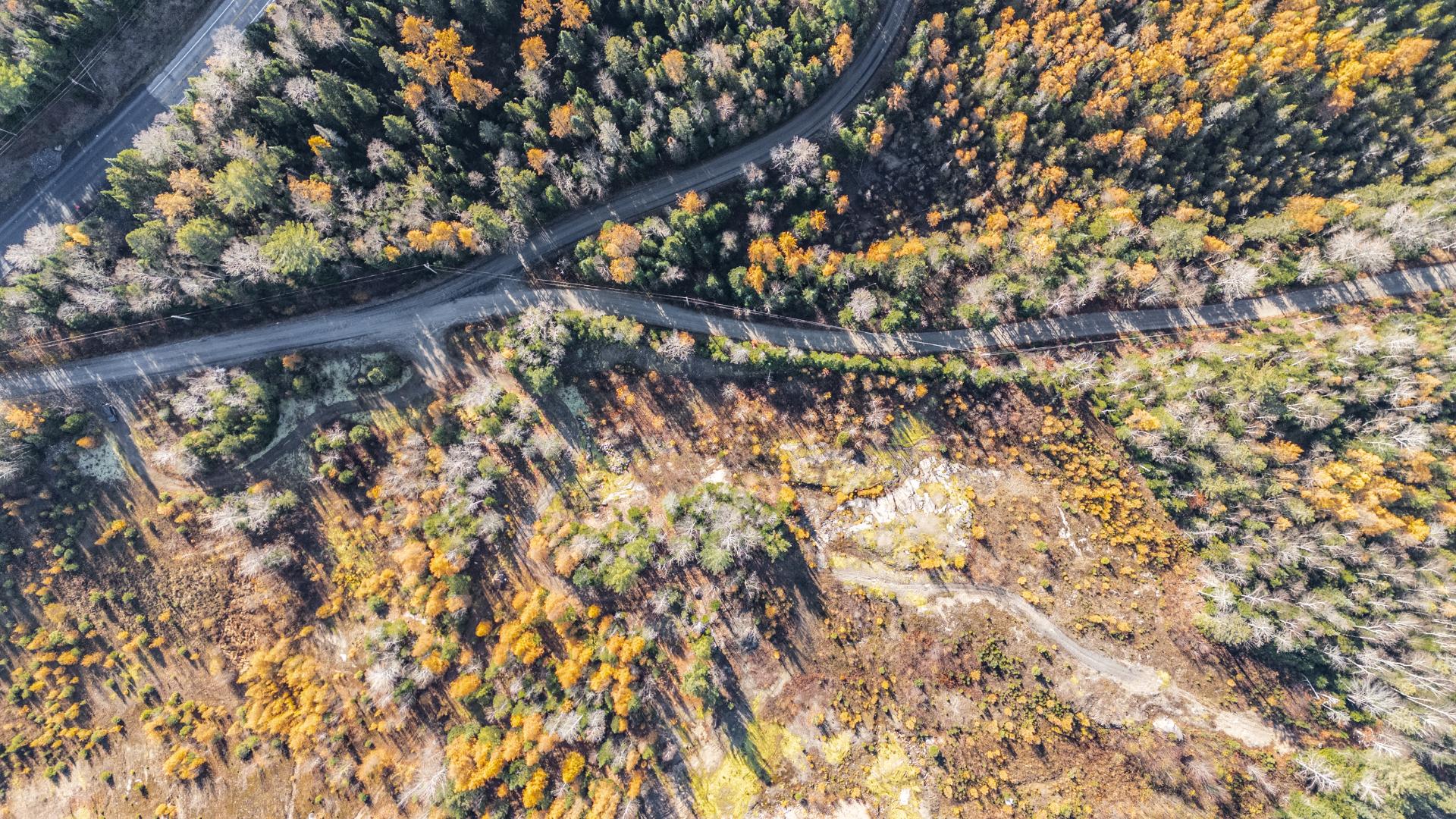 Photo - Photo aérienne