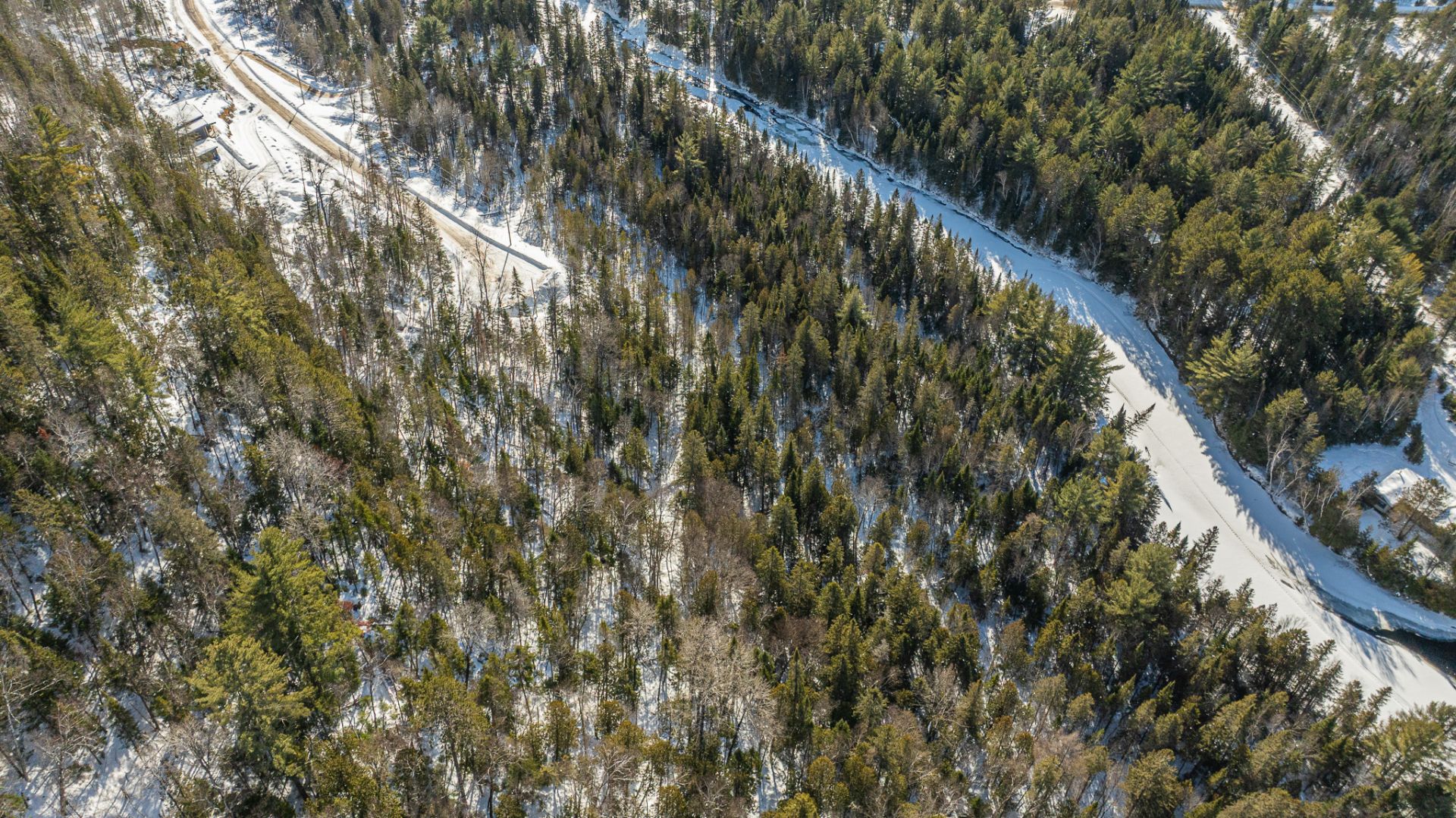 Photo - Aerial photo