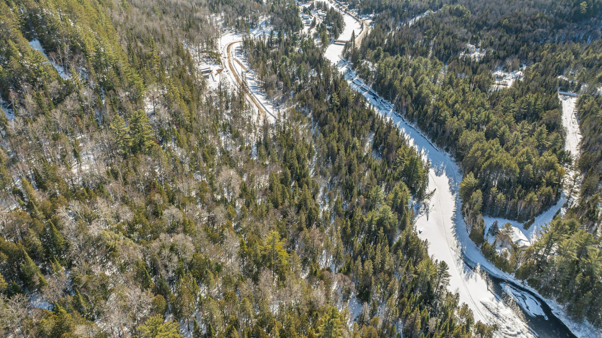 Photo - Aerial photo