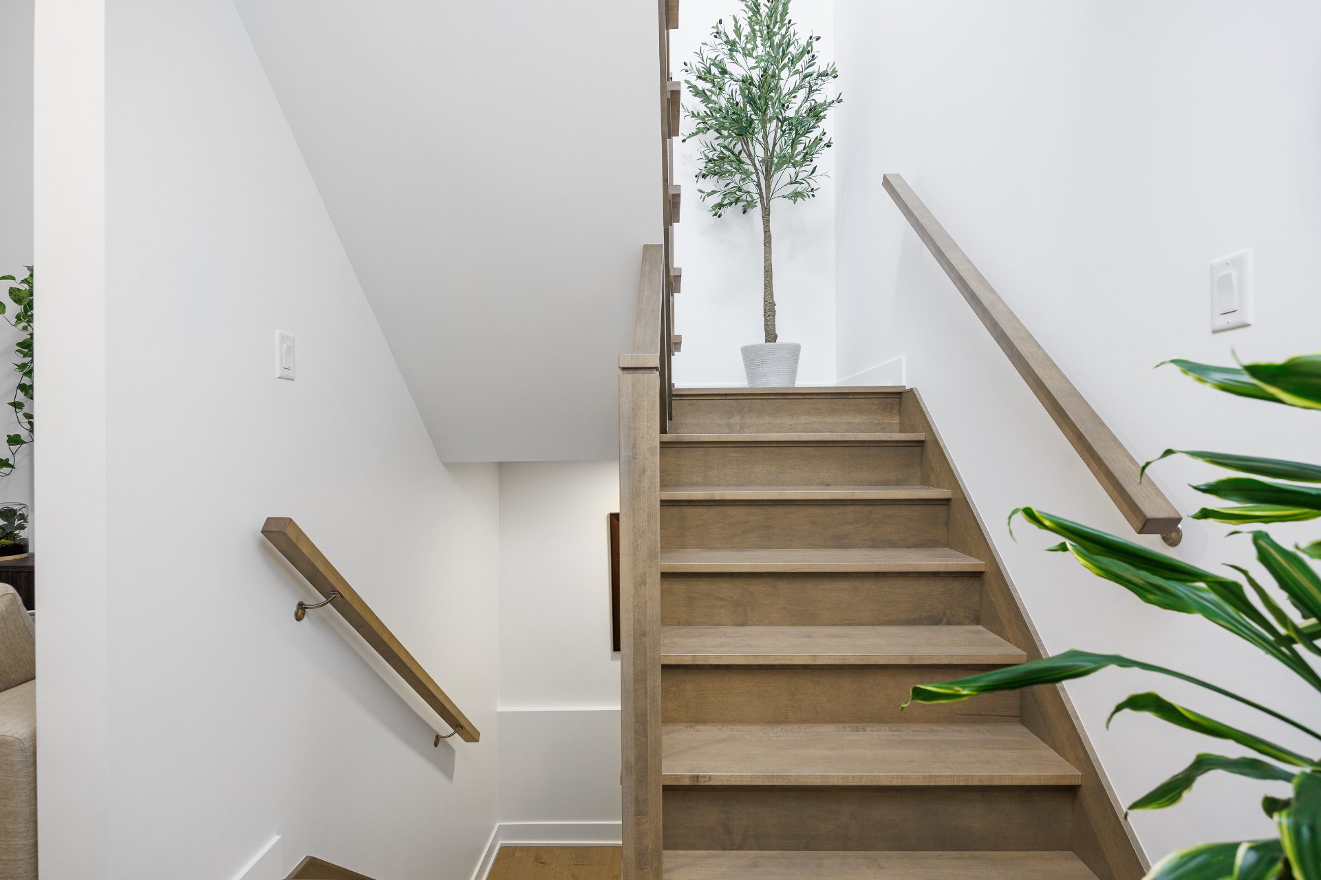 Photo - Hall d'entrée