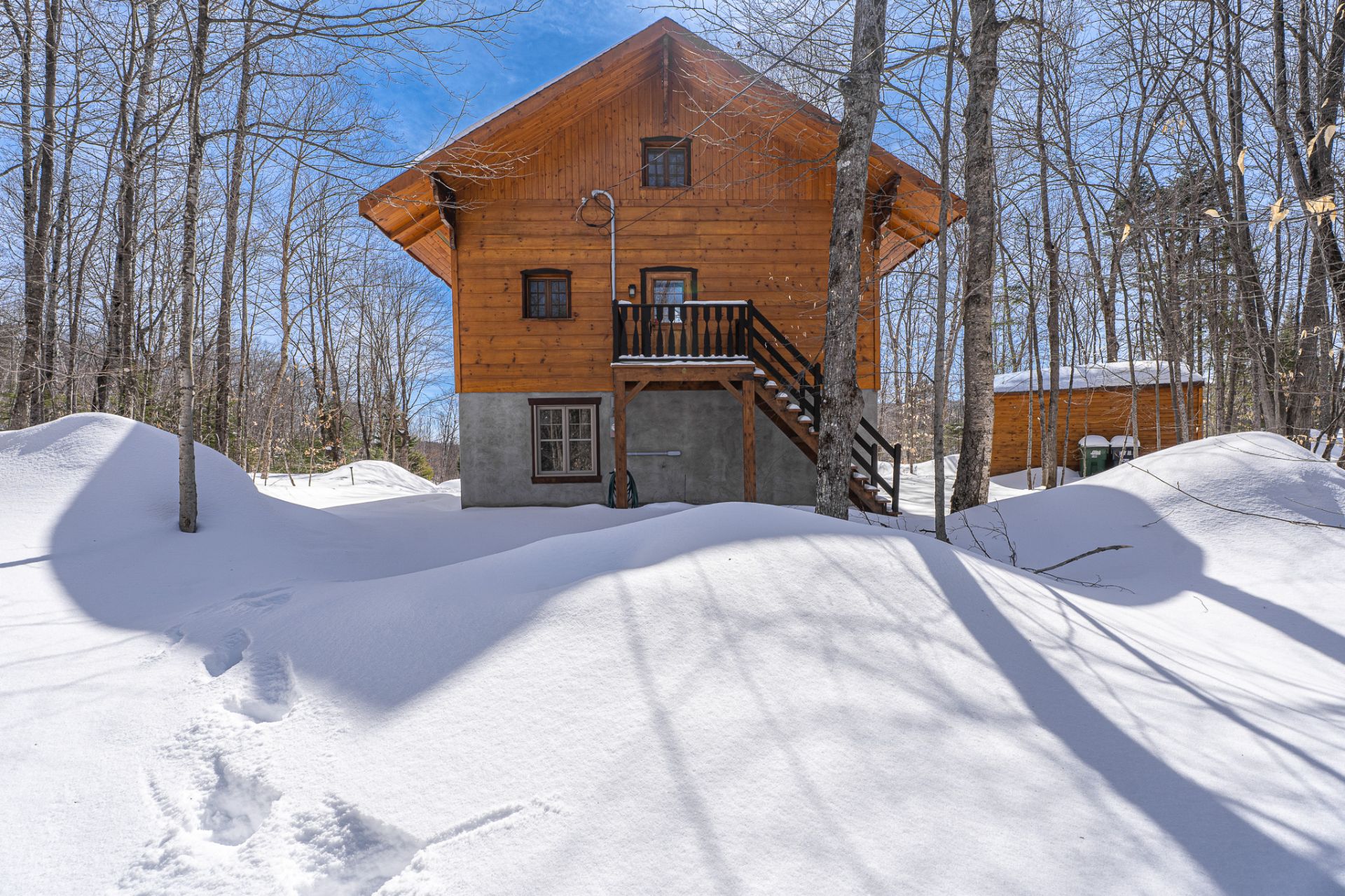 Photo - Face arrière