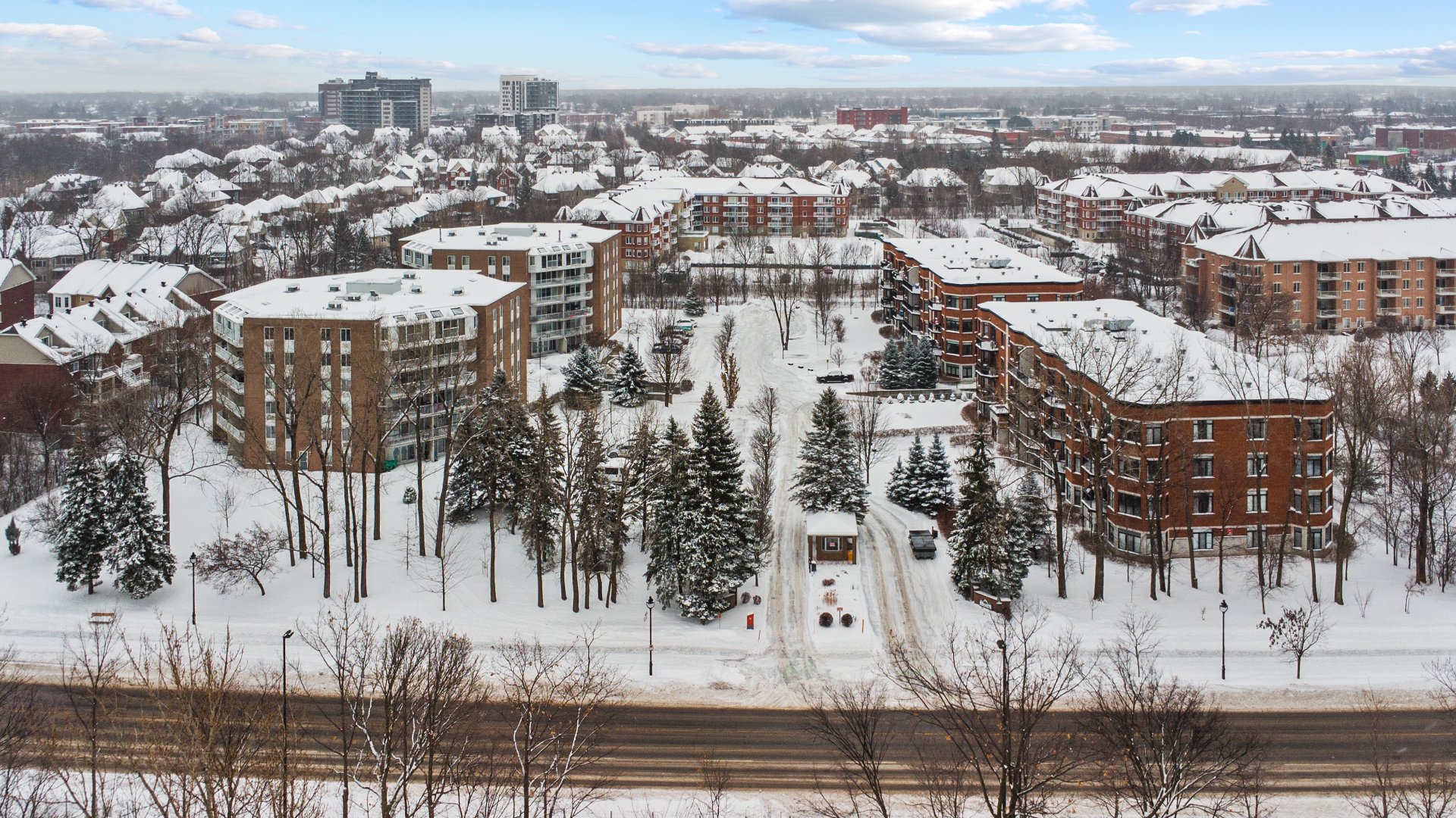 Photo - Aerial photo