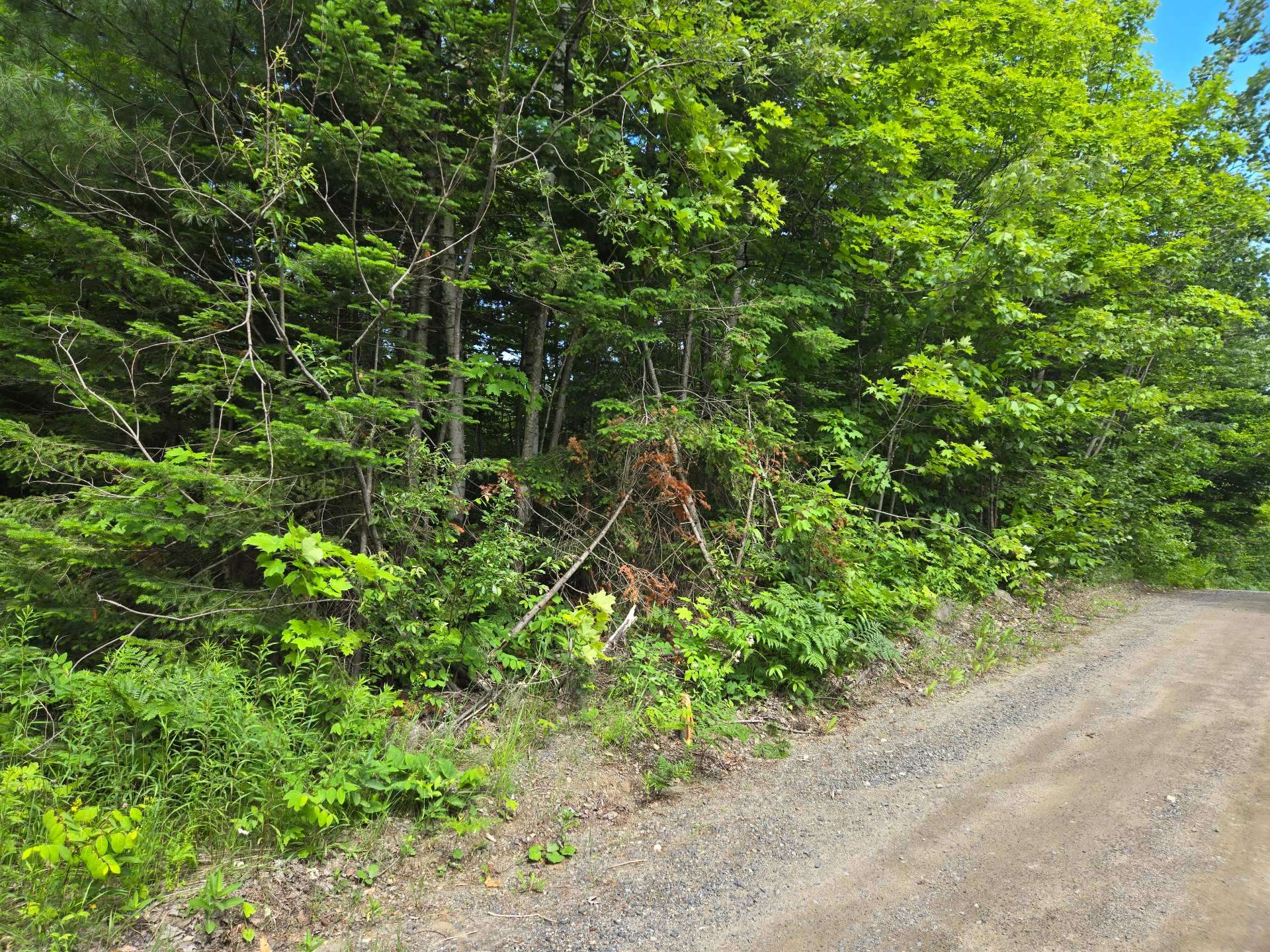 Photo - Terre/Terrain