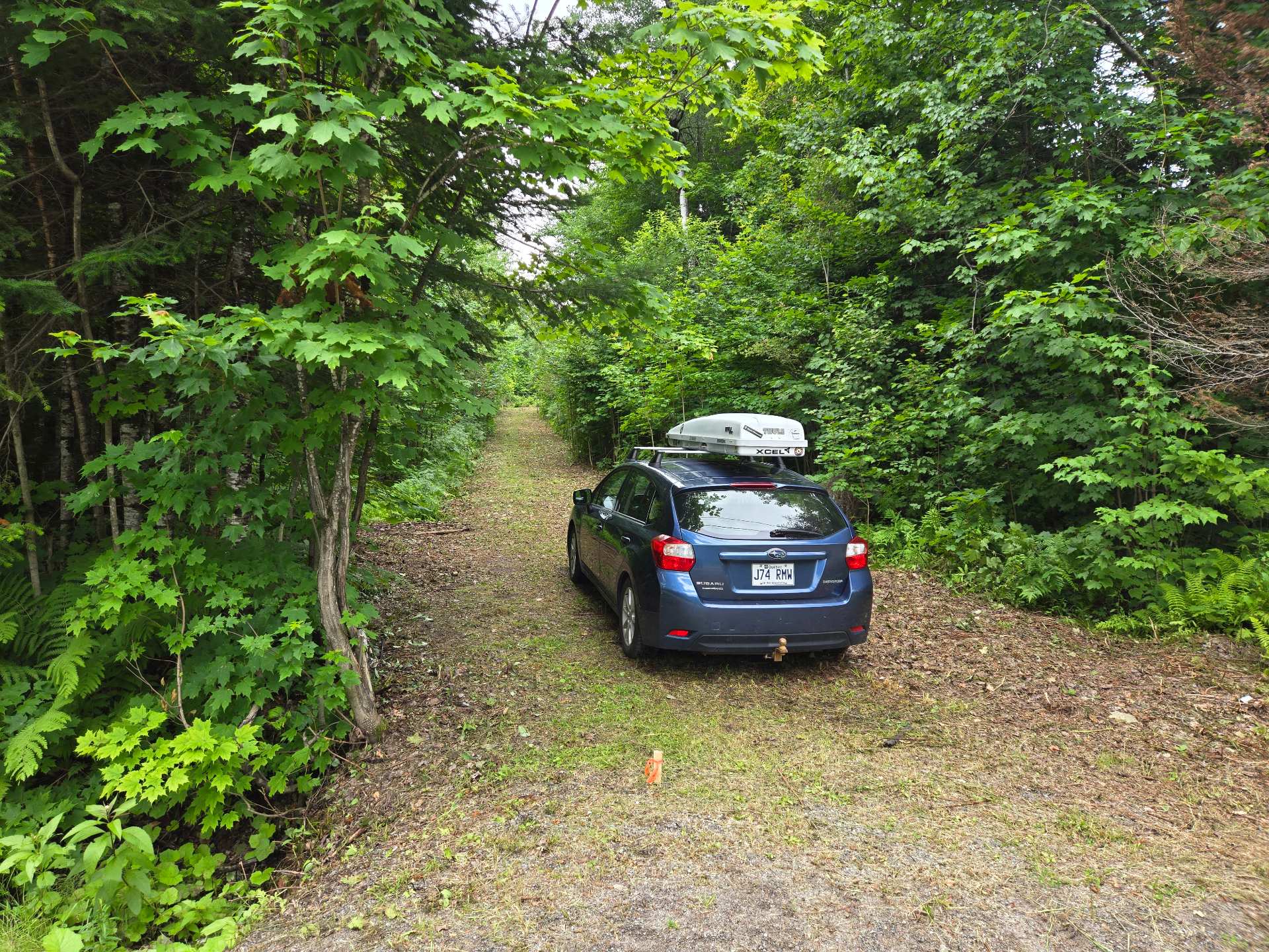 Photo - Terre/Terrain