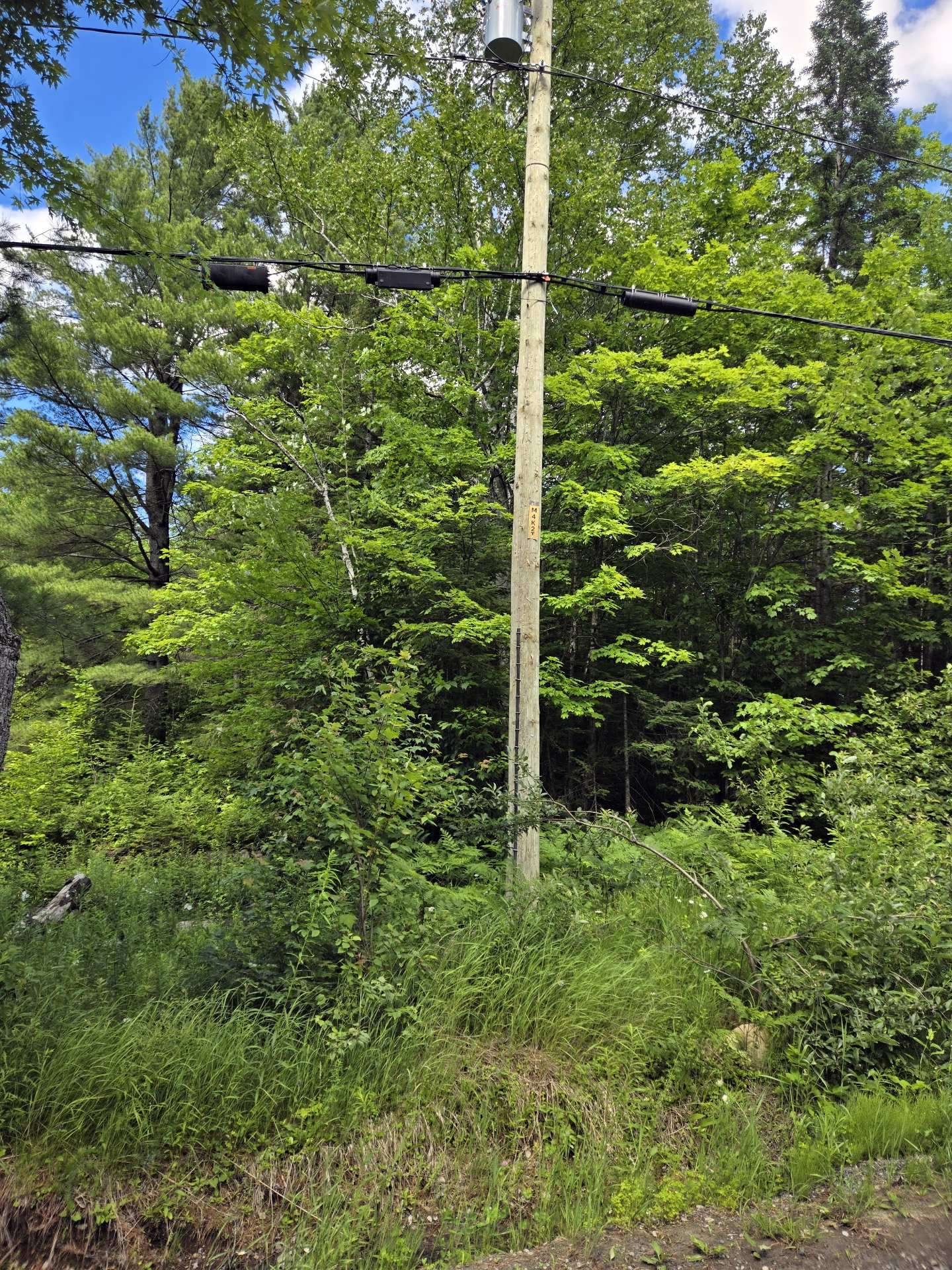 Photo - Terre/Terrain