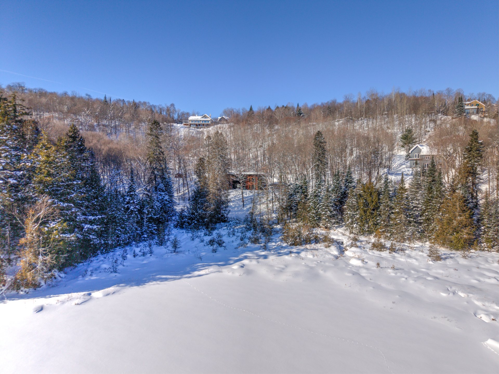 Photo - Aerial photo