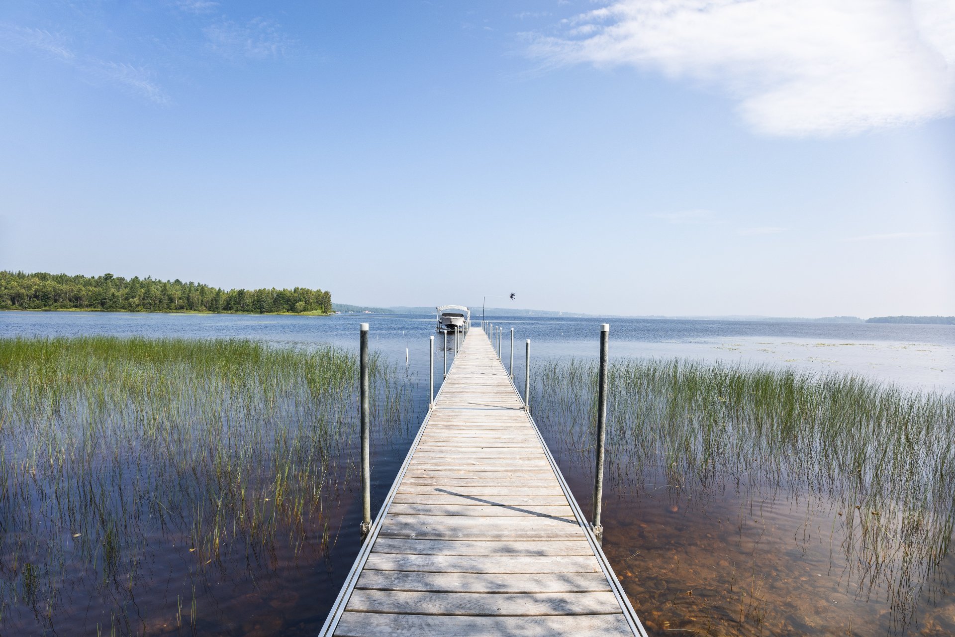 Photo - Bord de l'eau