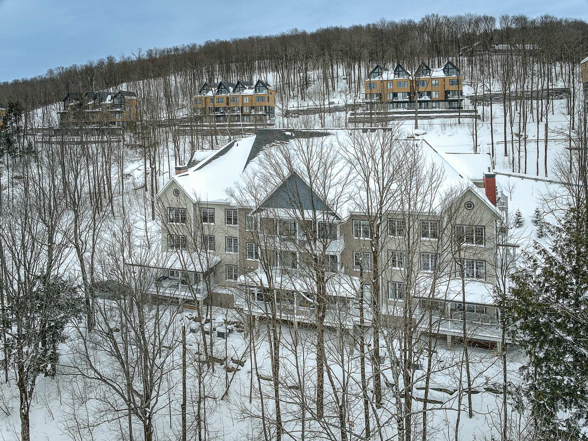 Photo - Photo aérienne