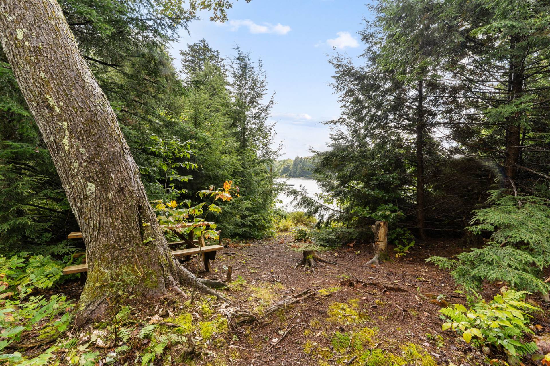 Accès au plan d'eau