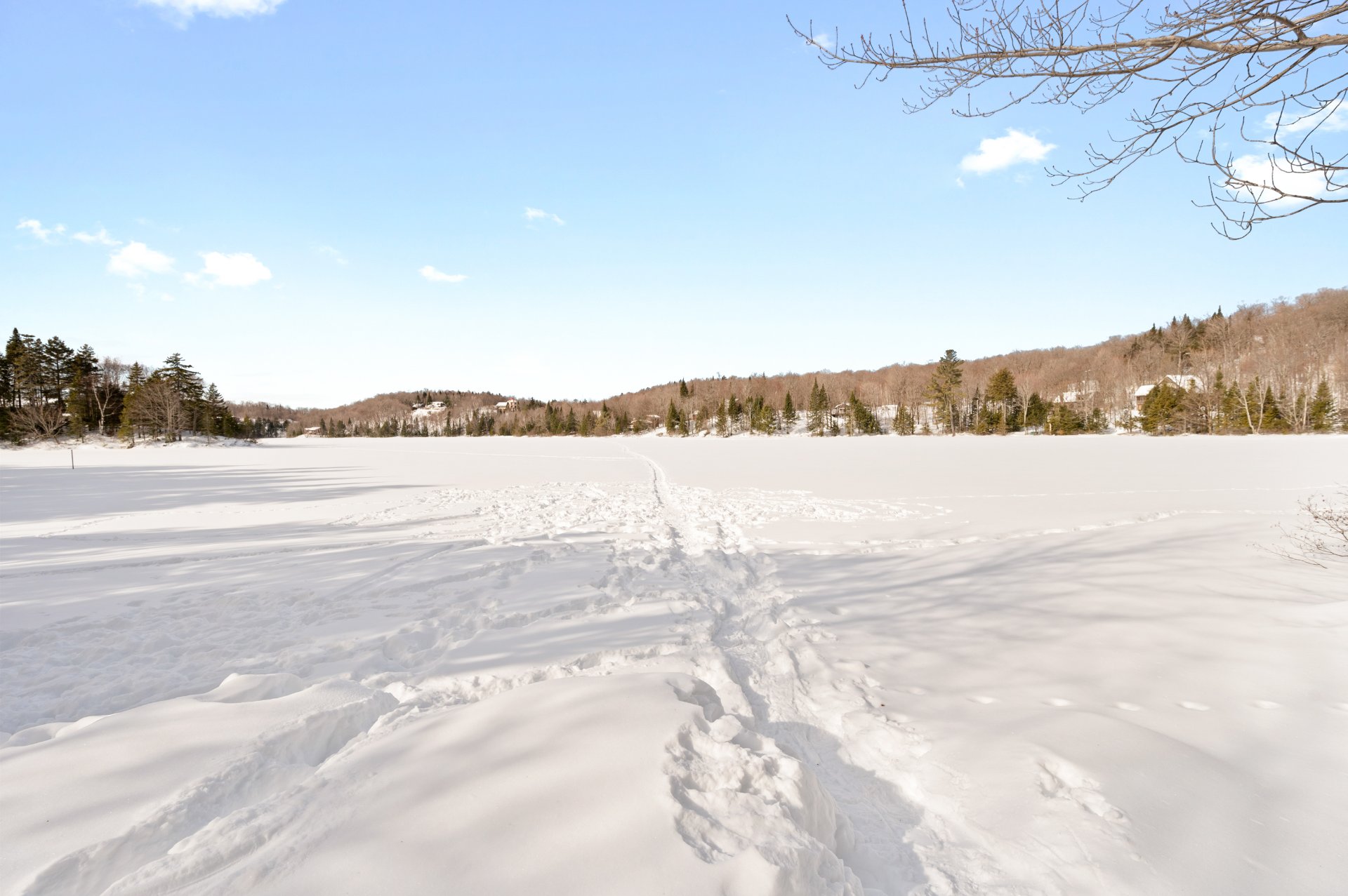 Photo - Bord de l'eau