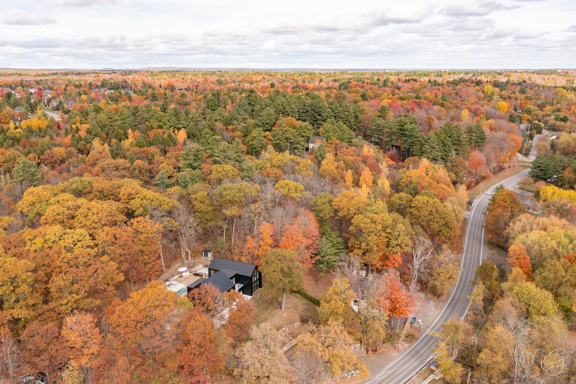 Photo - Aerial photo