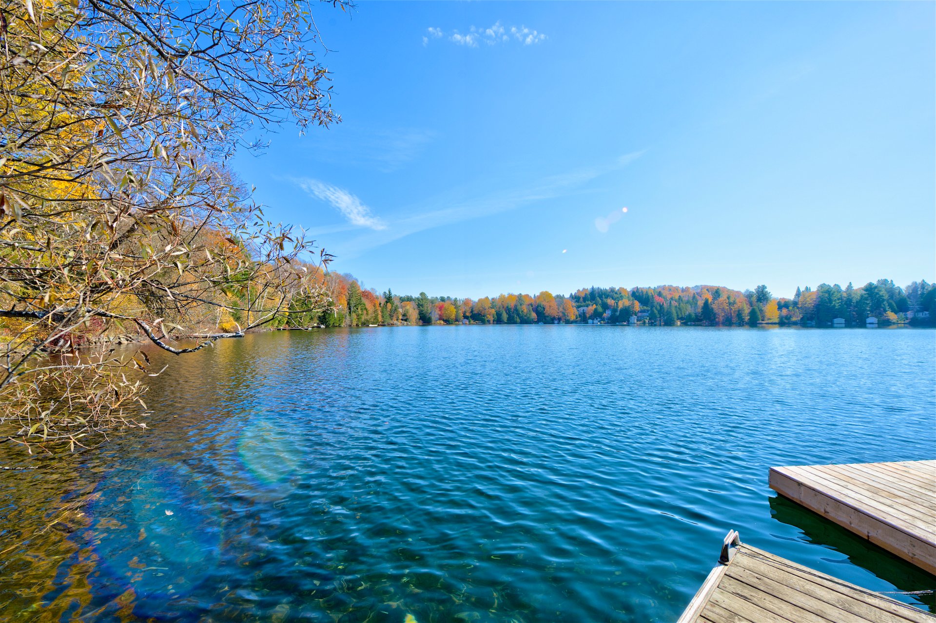Photo - Bord de l'eau