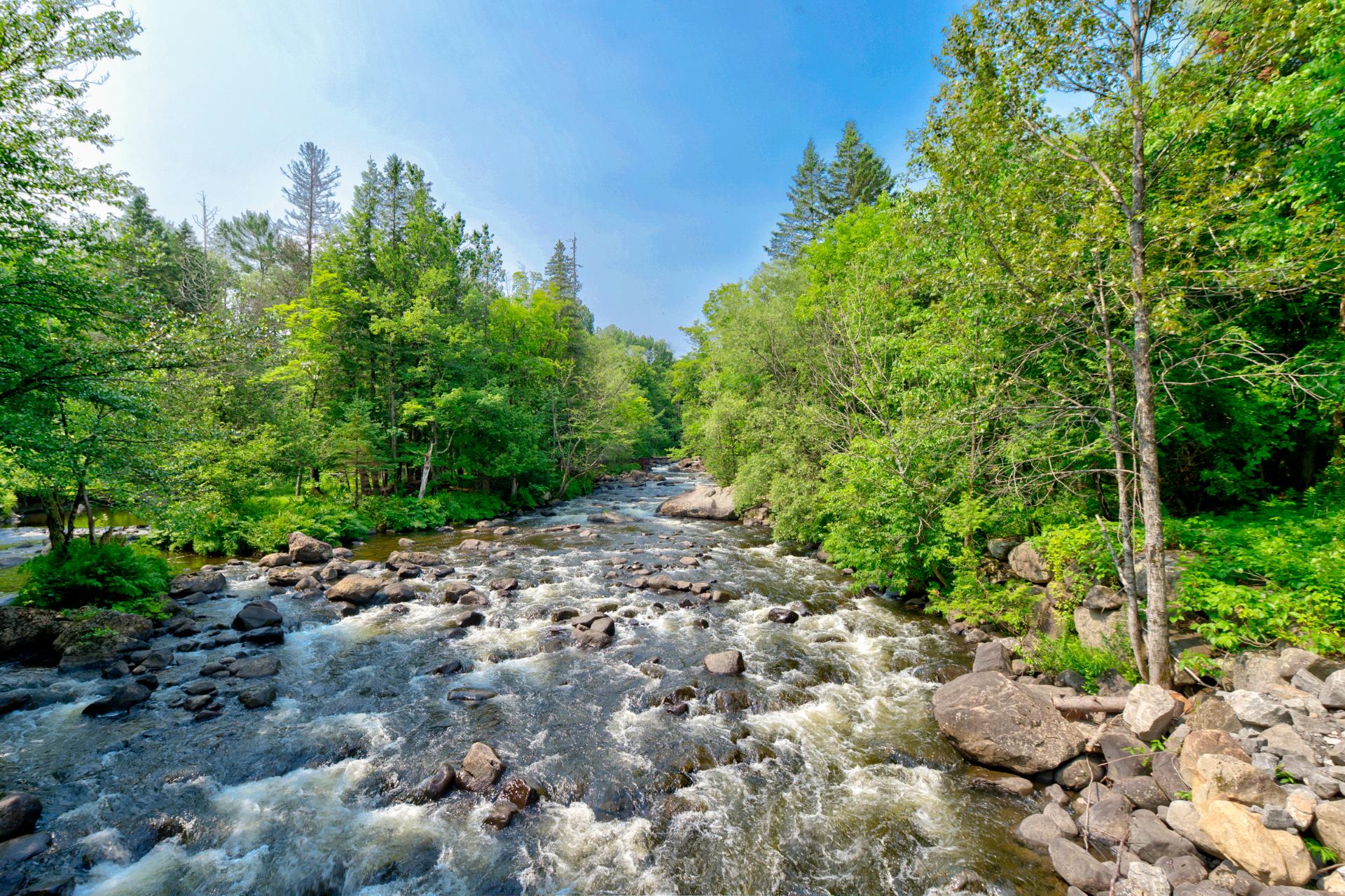 Photo - Bord de l'eau